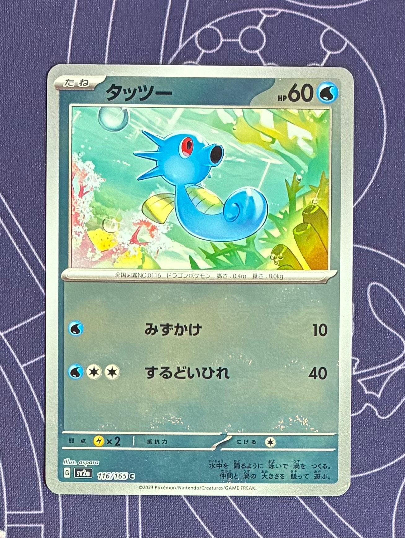 N SR :1ED [BW2 071/066](拡張パック「レッドコレクション」)の新品