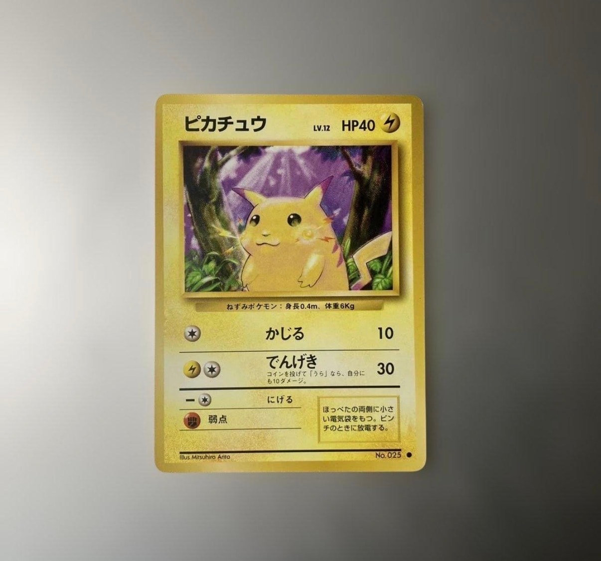 ピカチュウ ● : 旧裏 [PMCG1-2](拡張パック「ポケットモンスター カードゲーム」再販)