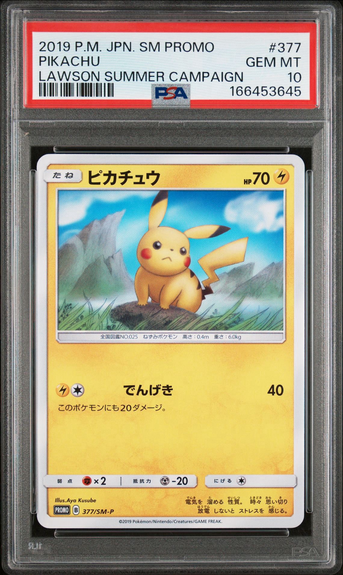 ピカチュウ P [SM-P 377](プロモーションカード「ローソンサマーキャンペーン」)