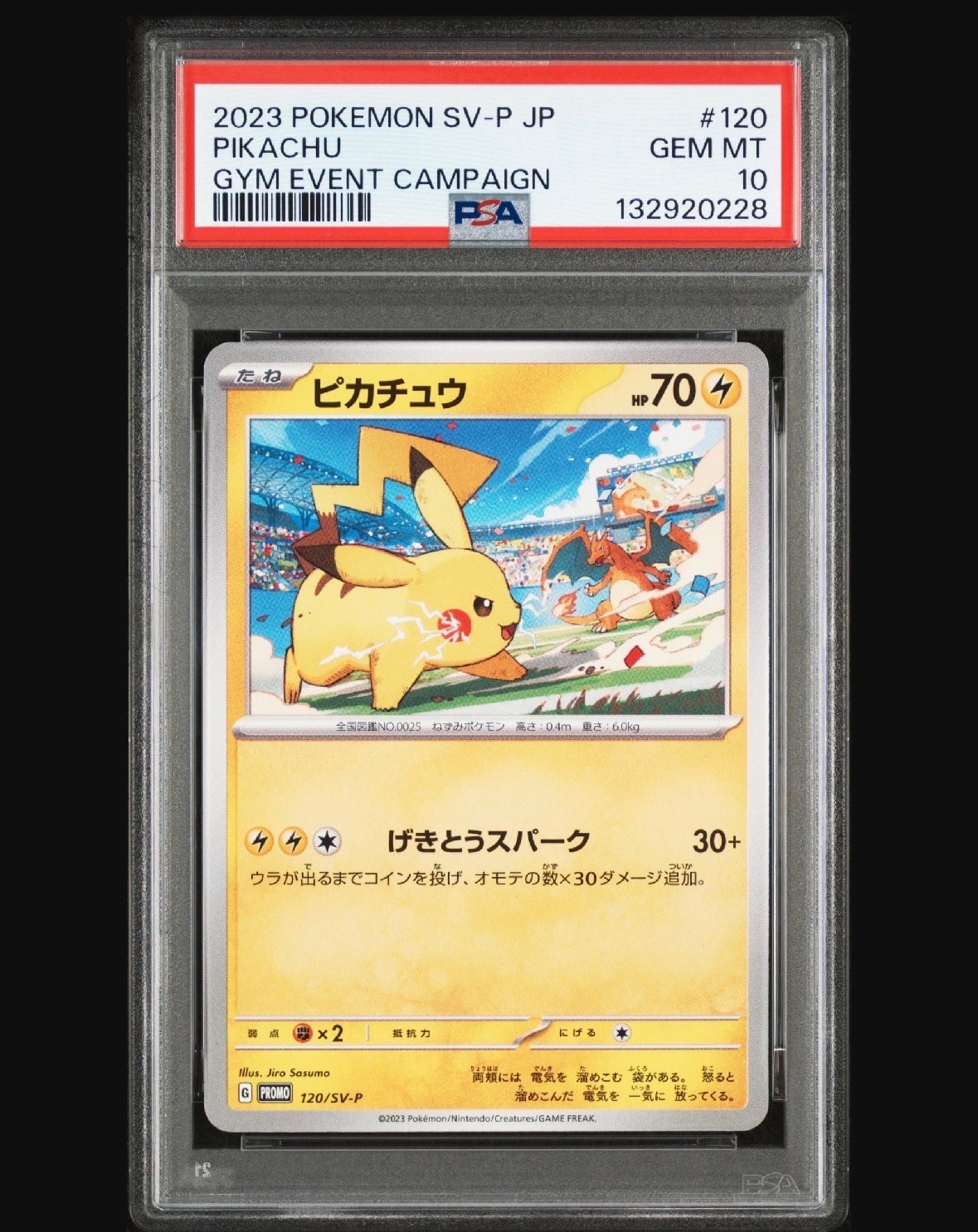 ピカチュウ: プロモ [SV-P 120](プロモーションカード「SV-P」)