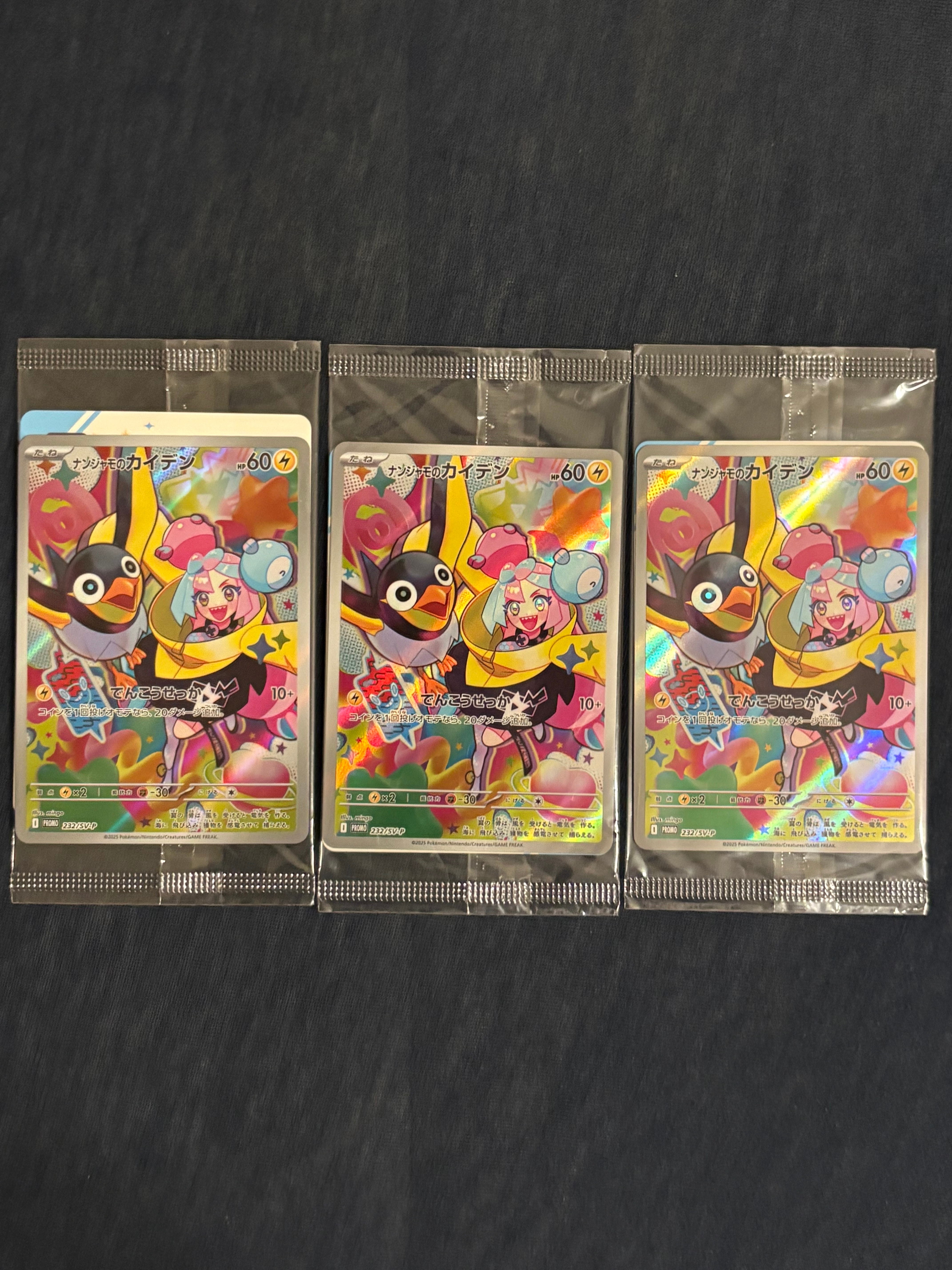 グラードン [PCG 007/009](ポケパークプレミアムファイル「ブルー