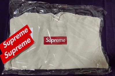 Supreme Box Logo Hooded Sweatshirt "Stone" (24FW)