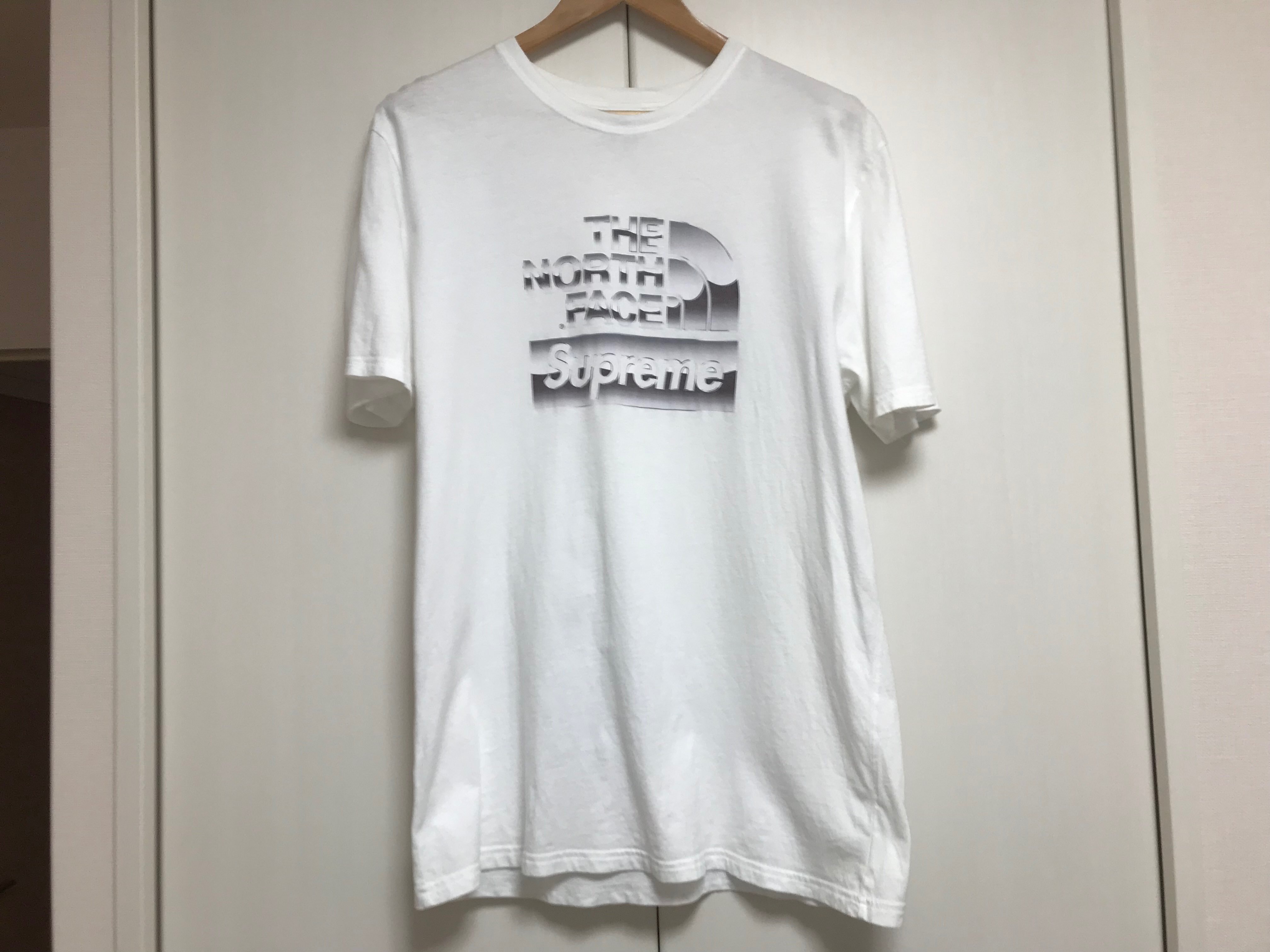 Supreme x The North Face Metallic Logo T-Shirt "White"