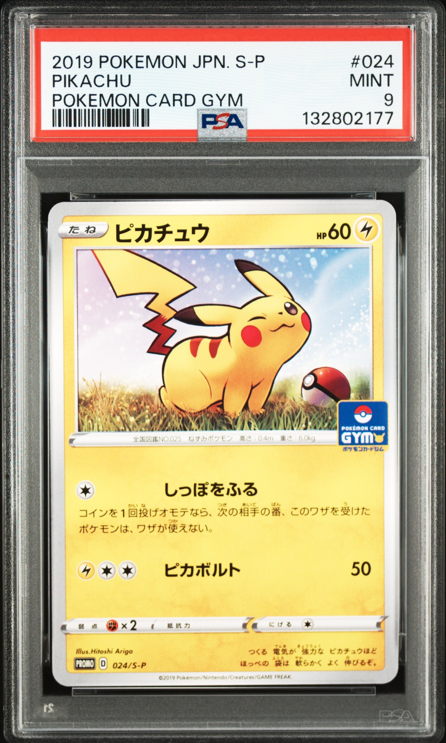 ピカチュウ: プロモ P [S-P 024](ポケモンカードゲーム ソード&シールド 「プロモカードパック 第1弾」)