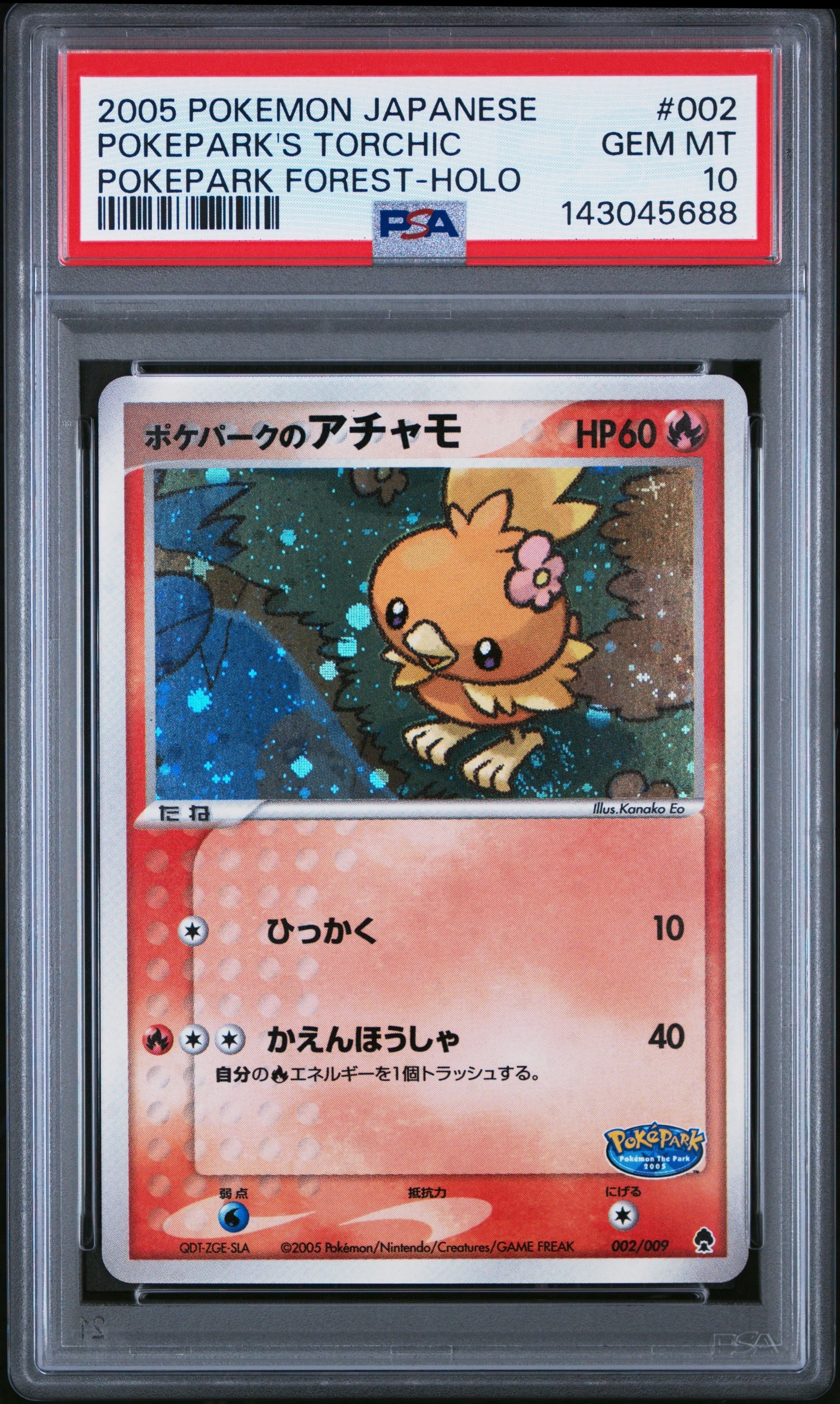 ポケパークのアチャモ [PCG 002/009](ポケパークプレミアムファイル