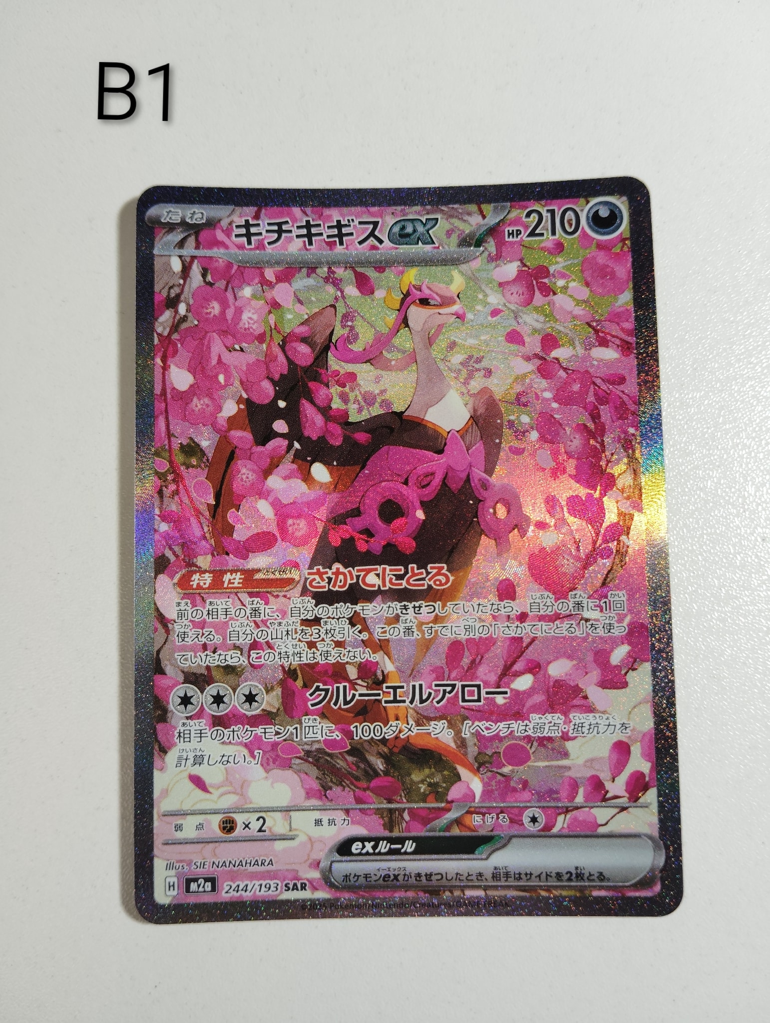 キチキギスex SAR [M2a 244/193](ハイクラスパック「MEGAドリームex