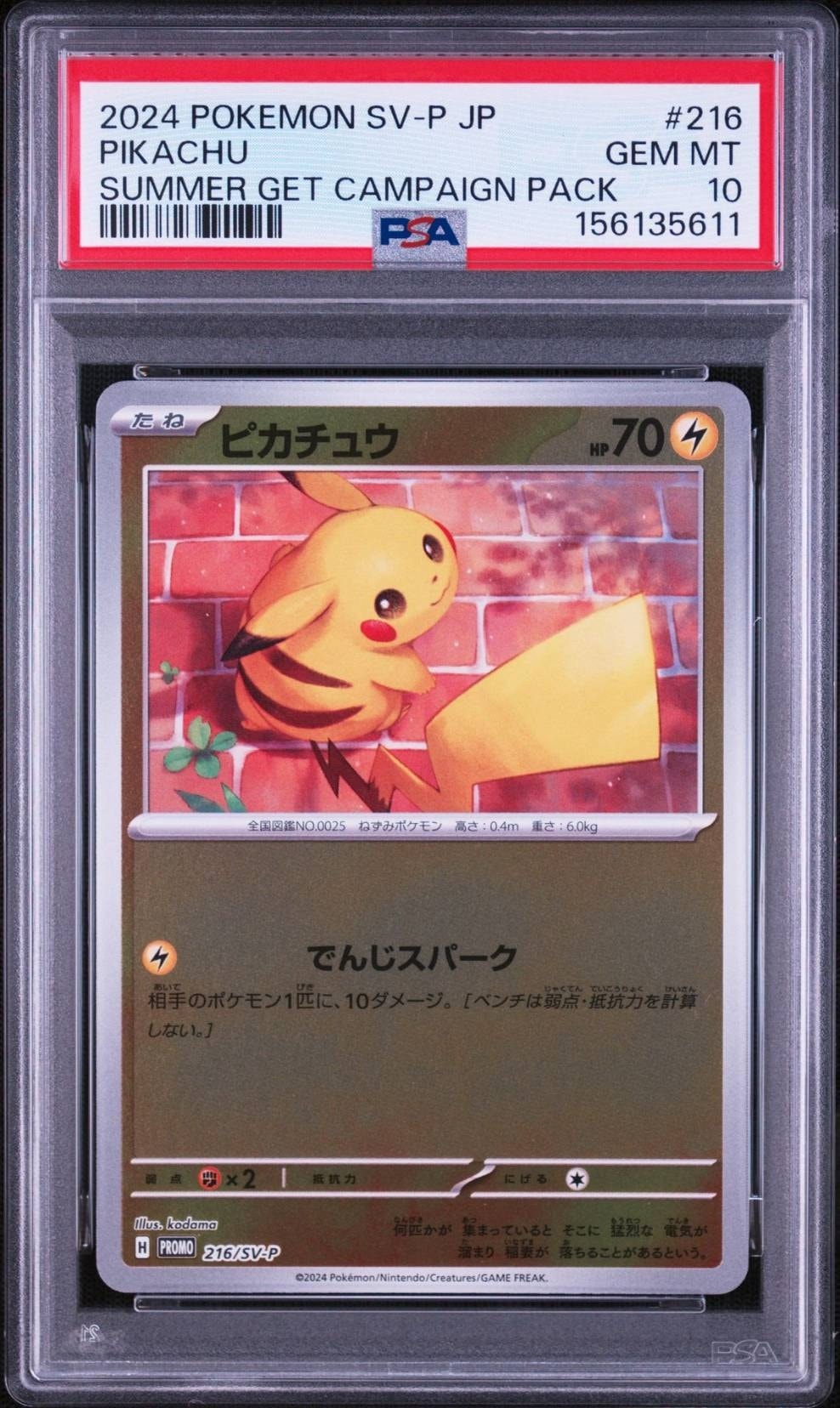 ピカチュウ P [SV-P 216](プロモカードパック「ポケカの夏がキタ