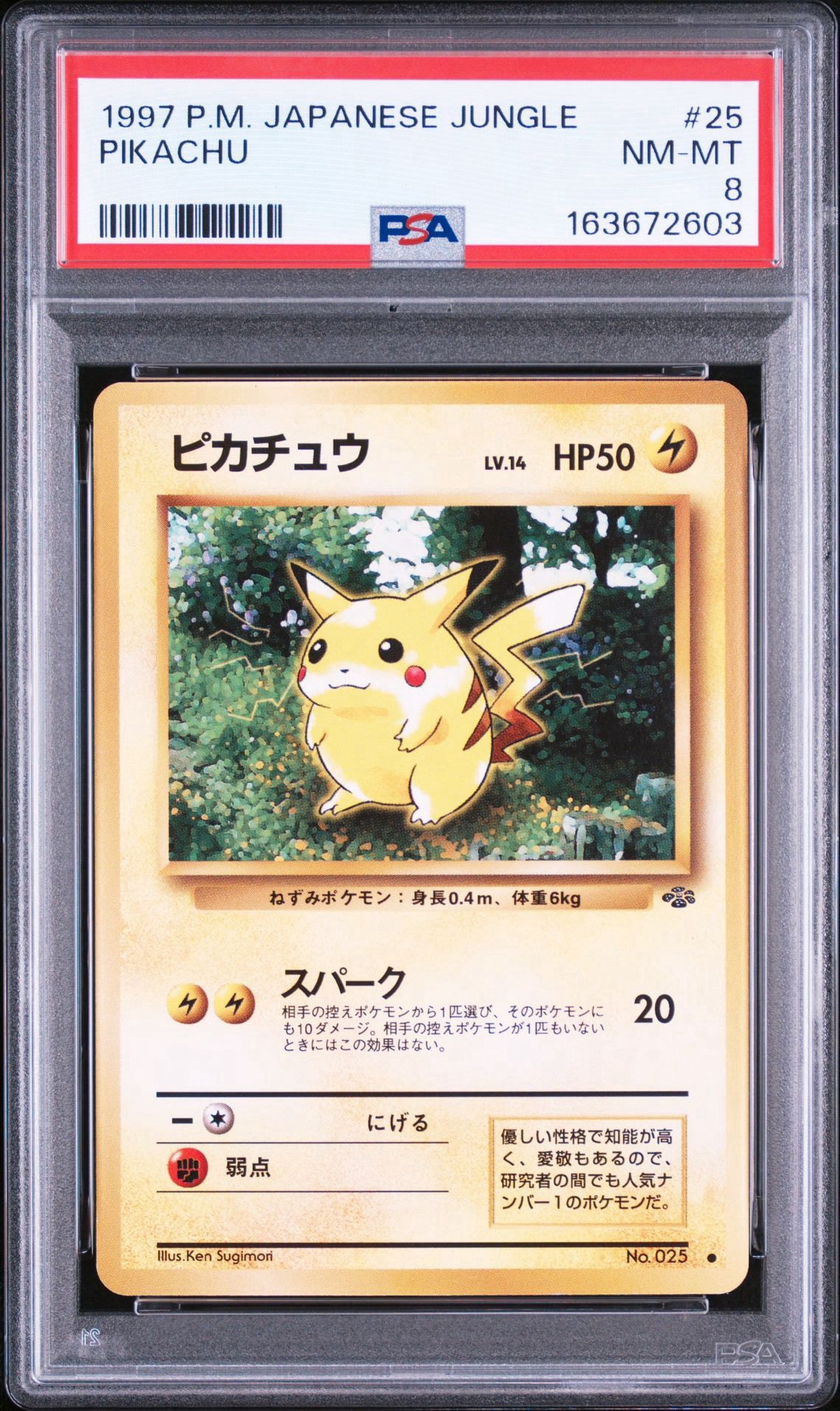 ピカチュウ ○ : 旧裏 [PMCG2 No.025](拡張パック「ポケモンジャングル