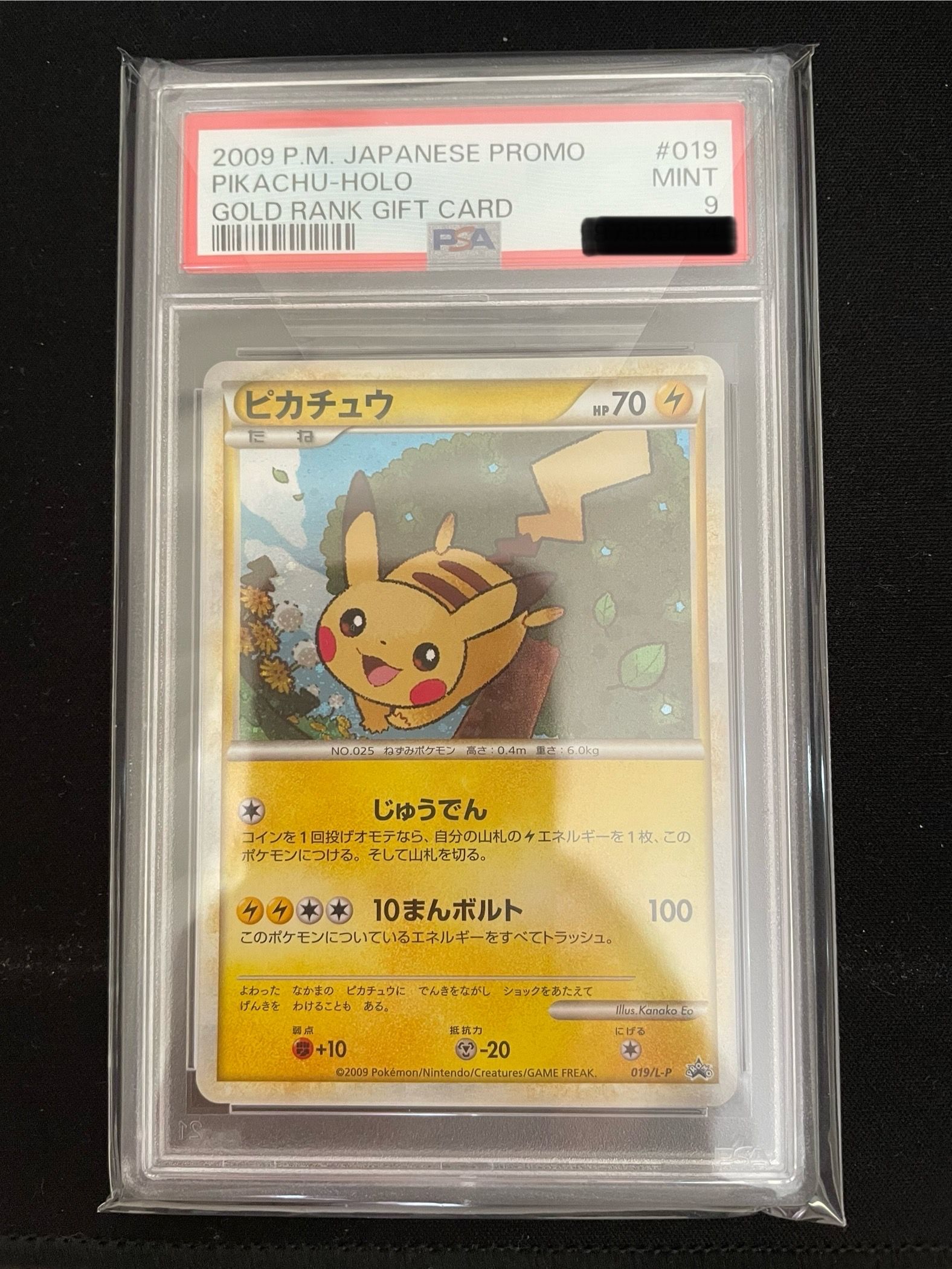 ピカチュウ: プロモ[L-P 019/L-P](プロモーションカード「L-P」)