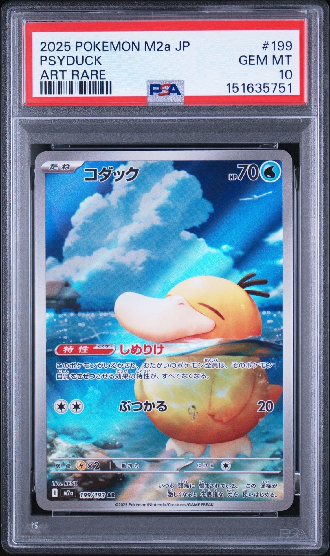 コダック AR [M2a 199/193](ハイクラスパック「MEGAドリームex」)の