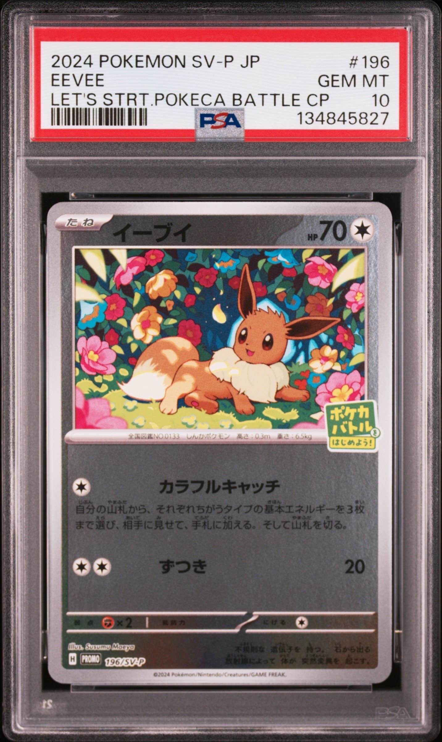 イーブイ P [SV-P-SM 196](プロモカードパック「ポケカバトルをはじめよう!キャンペーン」)