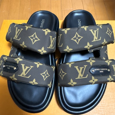 Louis Vuitton Women's Pool Pillow Mule "Cacao Brown"