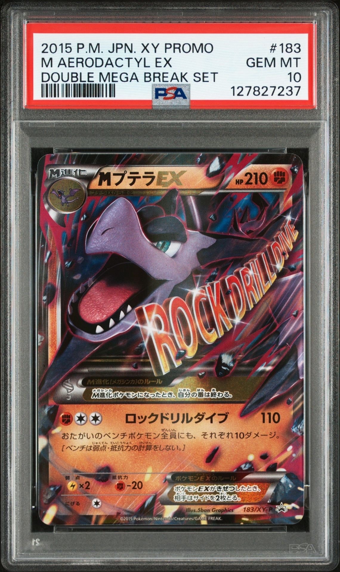 MプテラEX　psa10 MプテラEX psa10 MプテラEX プロモ 希少 XY-P プロモPSA10 公式通販