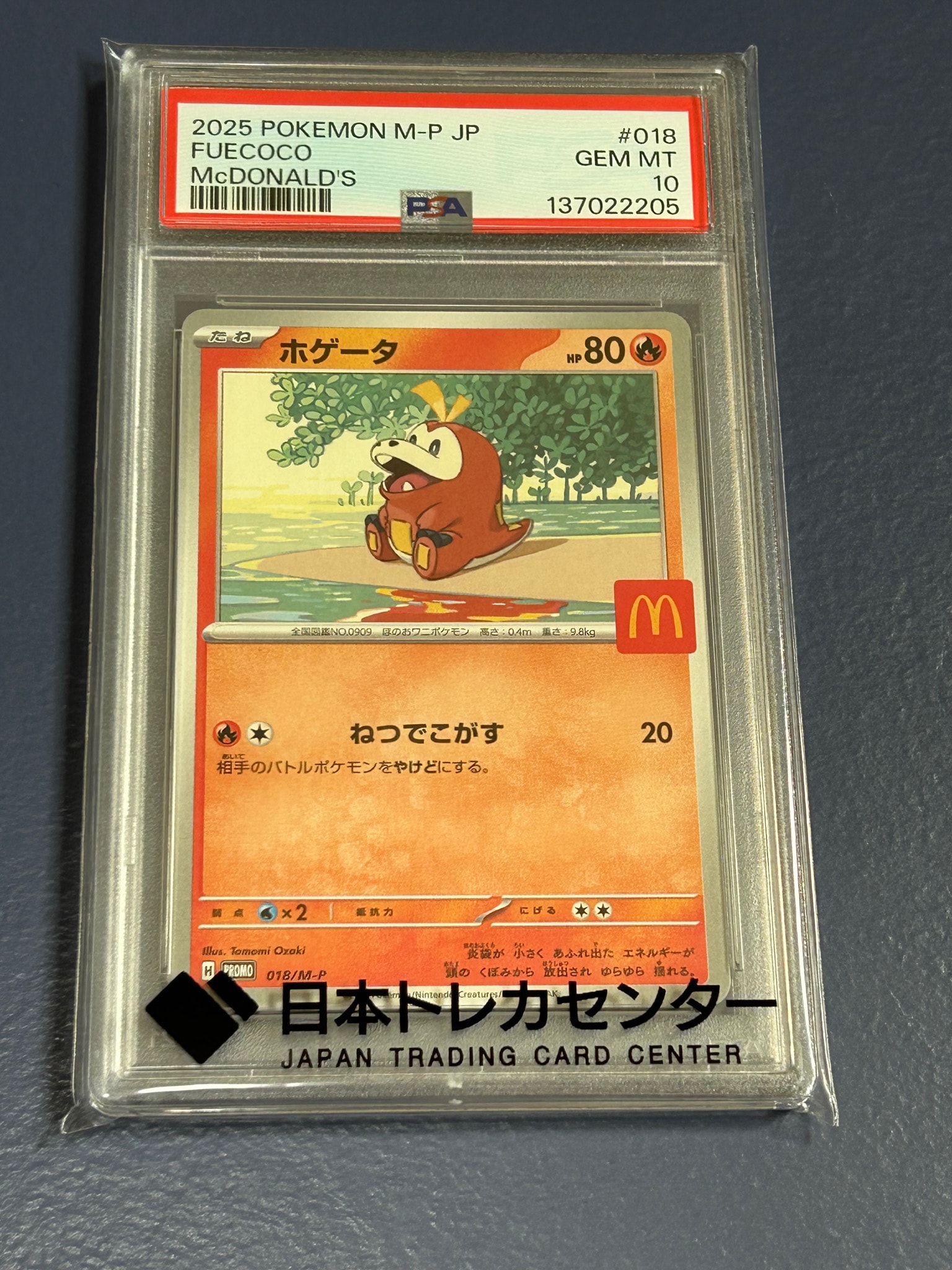 ホゲータ P [M-P 018](プロモカードパック「マクドナルド ハッピー