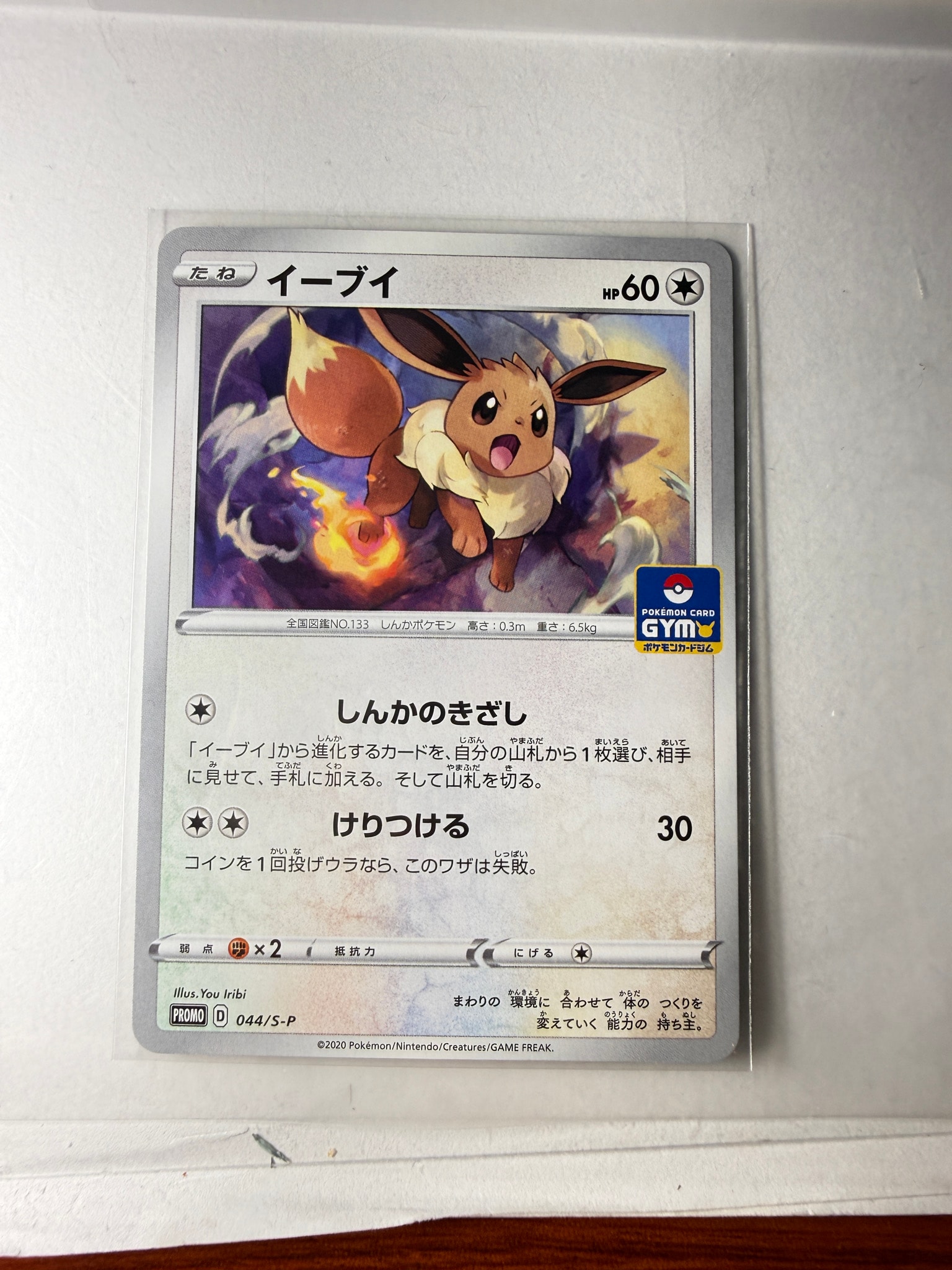 イーブイ: プロモ P [S-P 044](ポケモンカードゲーム ソード&シールド 「プロモカードパック 第2弾」)