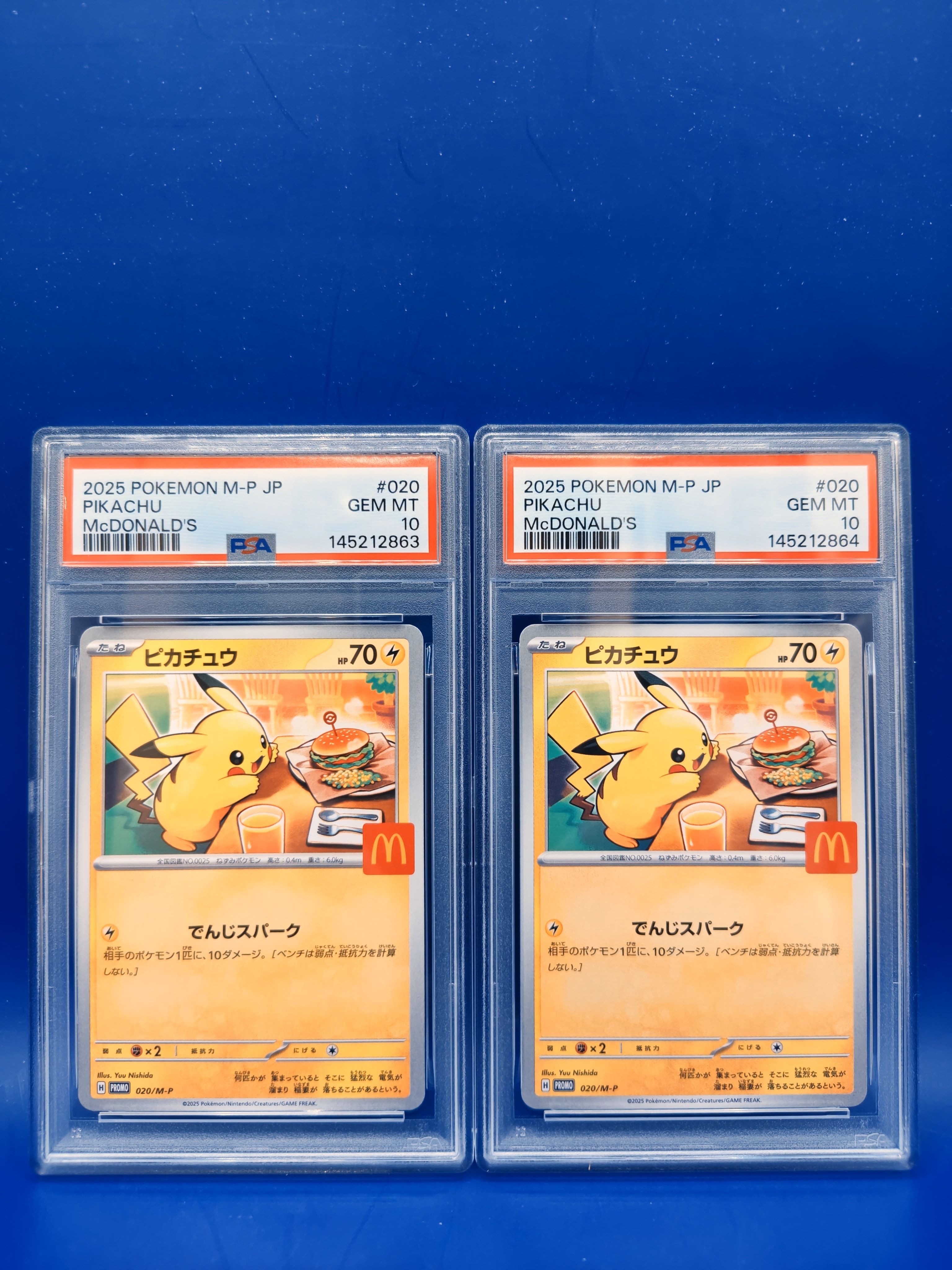 ヨコハマのピカチュウ　プロモ 282/sm-p ヨコハマのピカチュウ: プロモ[SM-P 282](プロモーションカード「SM-P