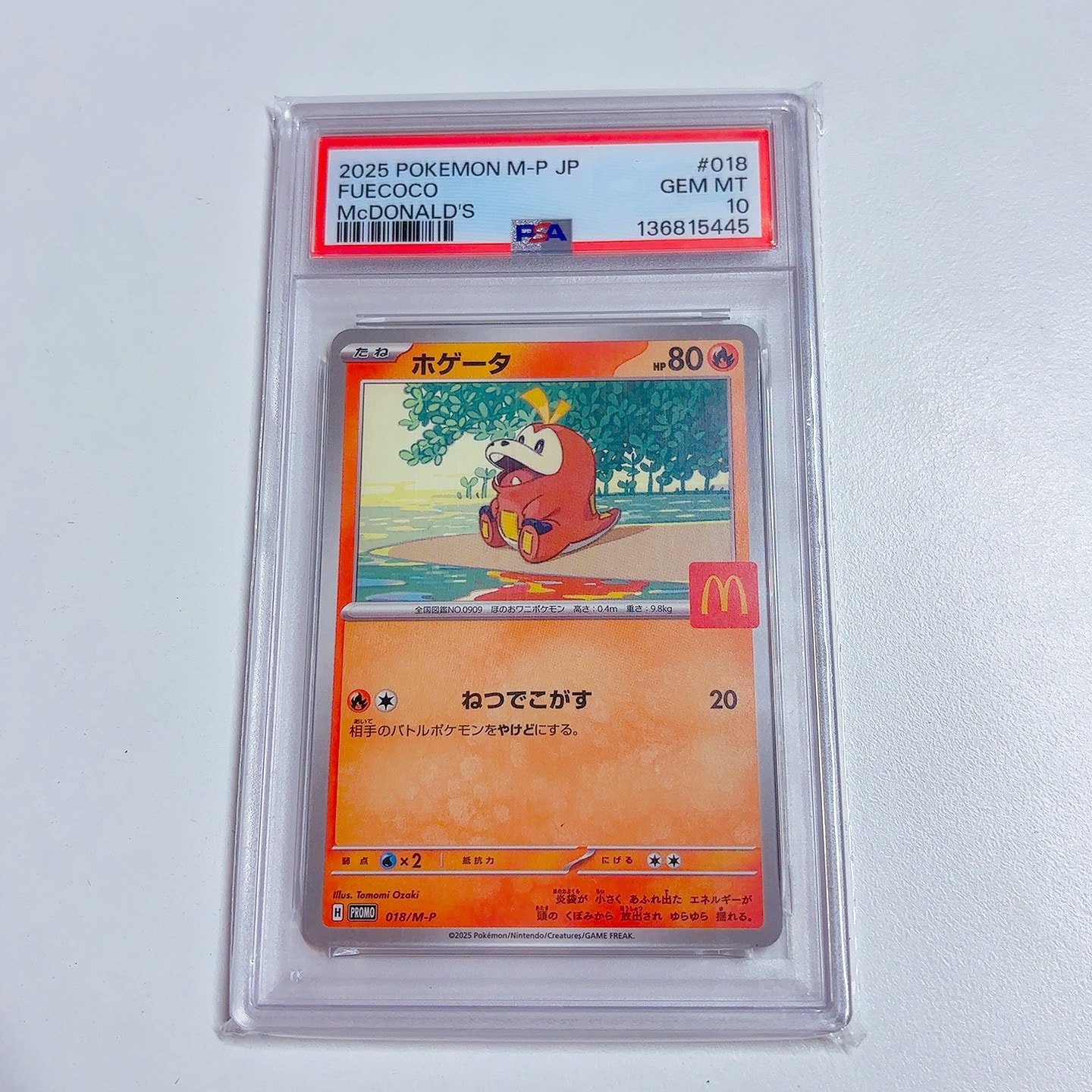 Fuecoco - 018/M-P