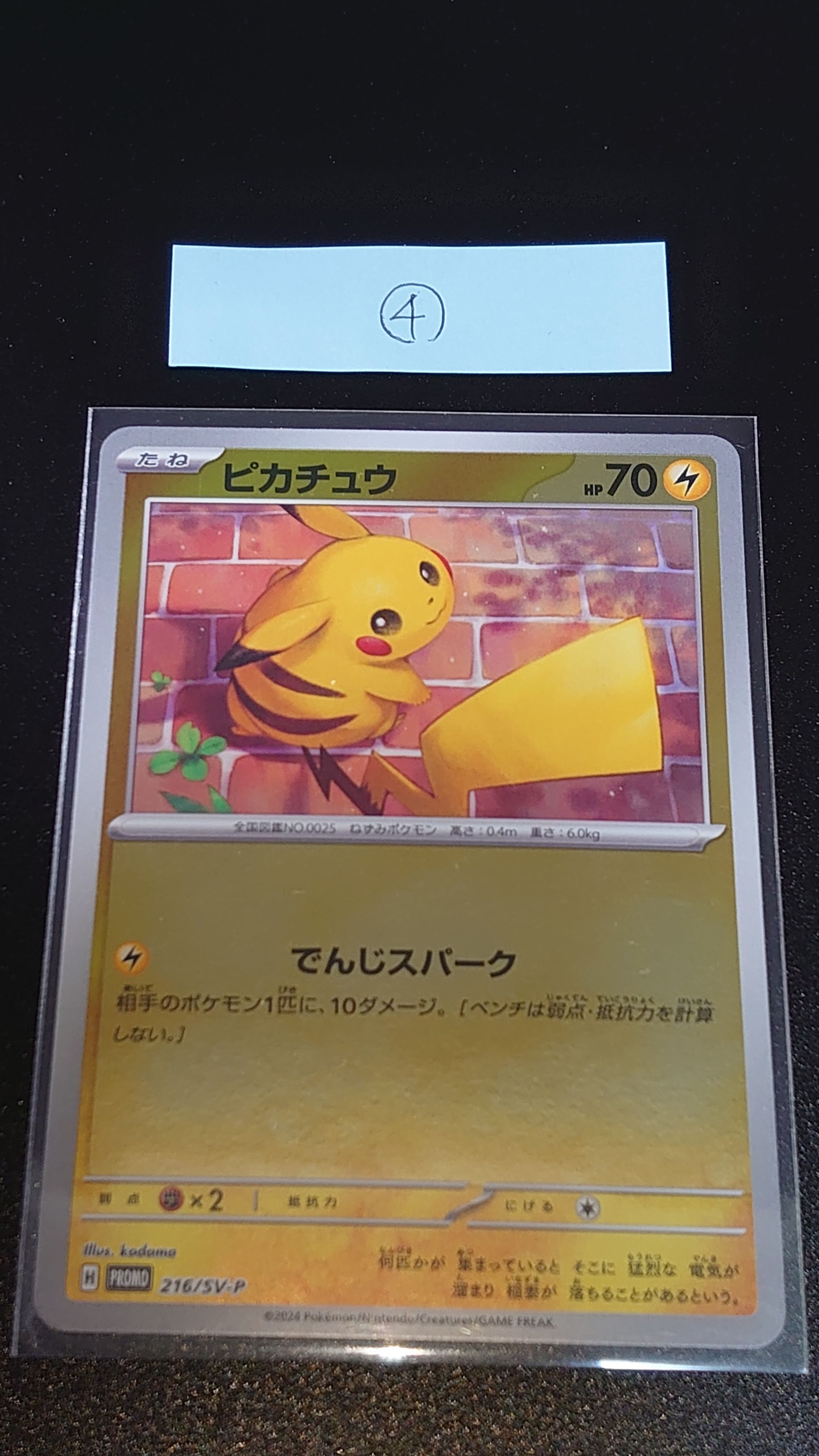 ピカチュウ P [SV-P 216](プロモカードパック「ポケカの夏がキタ!プロモカードGetキャンペーン!」)