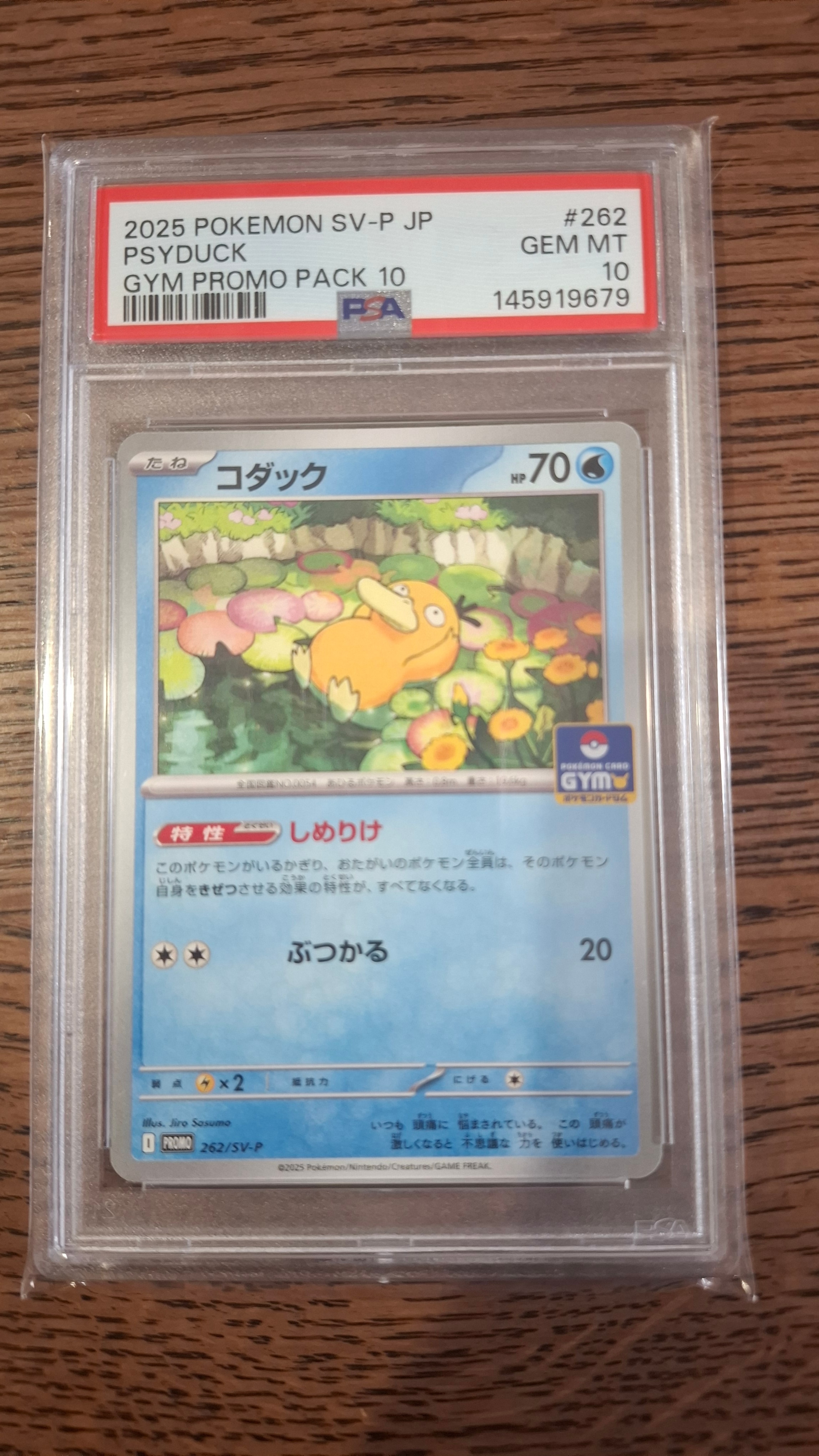 コダック P [SV-P 262](プロモカードパック「第10弾」)