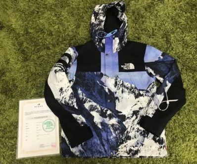 Supreme x The North Face Mountain Parka "Blue"