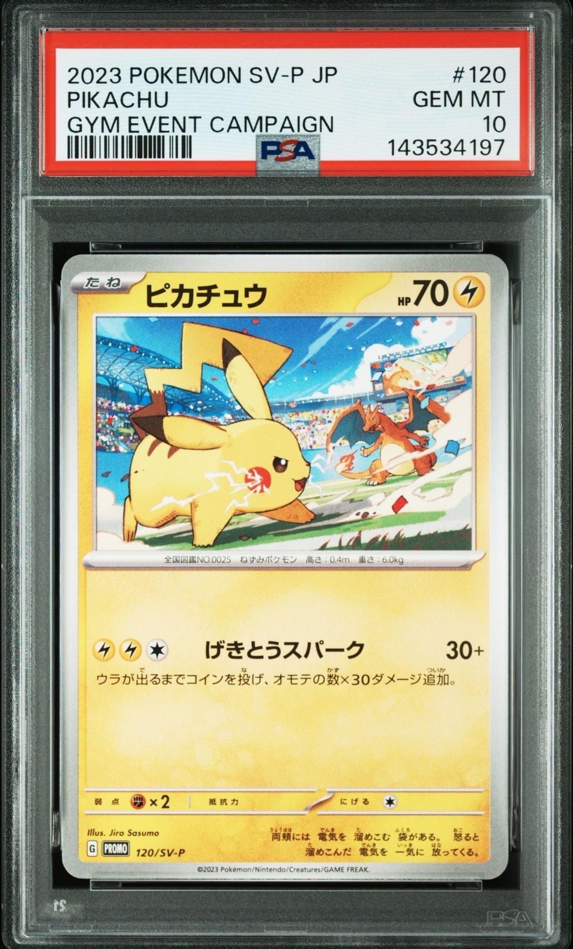 ピカチュウ: プロモ [SV-P 120](プロモーションカード「SV-P」)