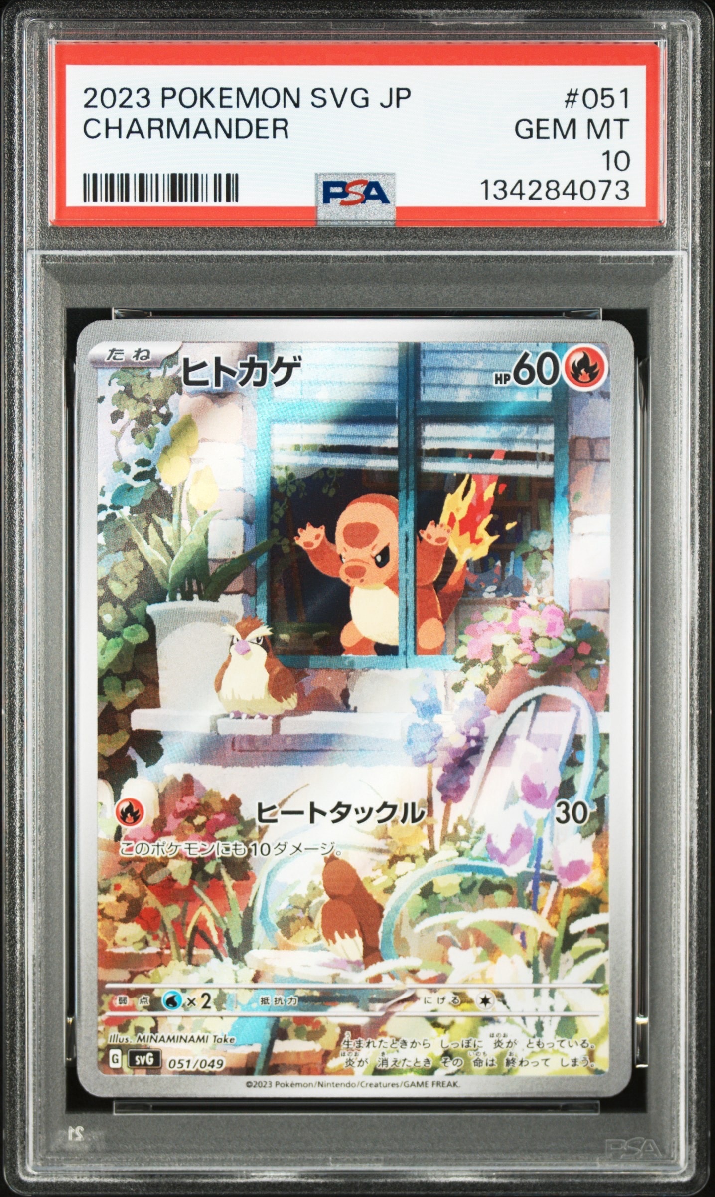 ヒトカゲ :フルイラスト [SVG 051/049](スペシャルデッキセットex「フシギバナ・リザードン・カメックス」)