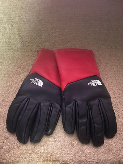 Supreme The North Face Leather Gloves "Red"