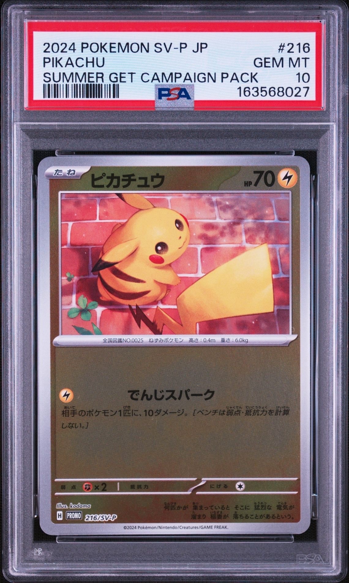 _のピカチュウ: プロモ (お誕生日ピカチュウ) [S8a-P 007/025](プロモ