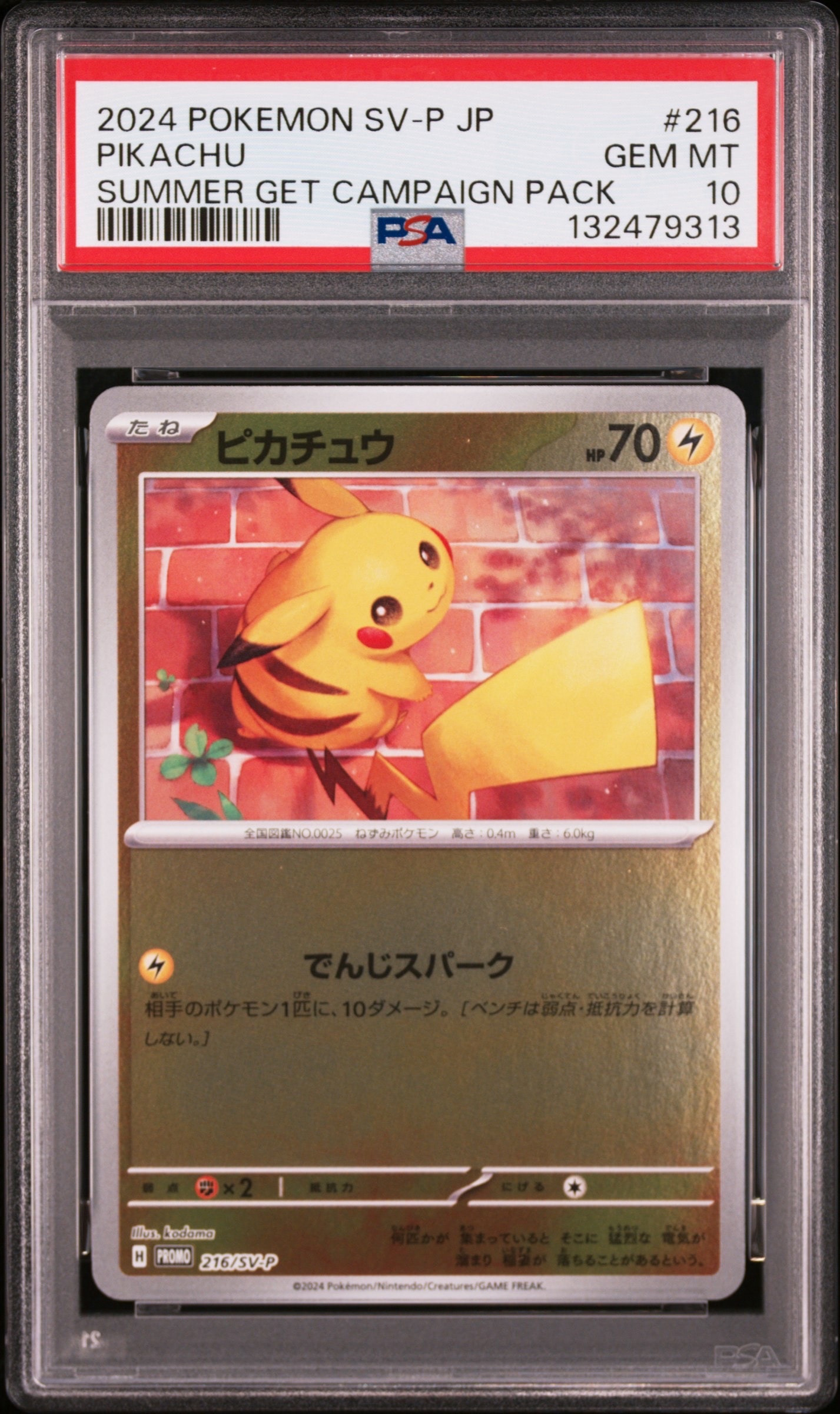 ピカチュウ P [SV-P 216](プロモカードパック「ポケカの夏がキタ!プロモカードGetキャンペーン!」)