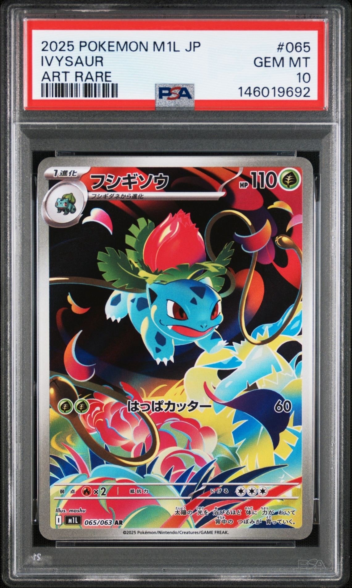 シェイミEX: プロモ[XY-P 212/XY-P](プロモーションカード「XY-P」)の