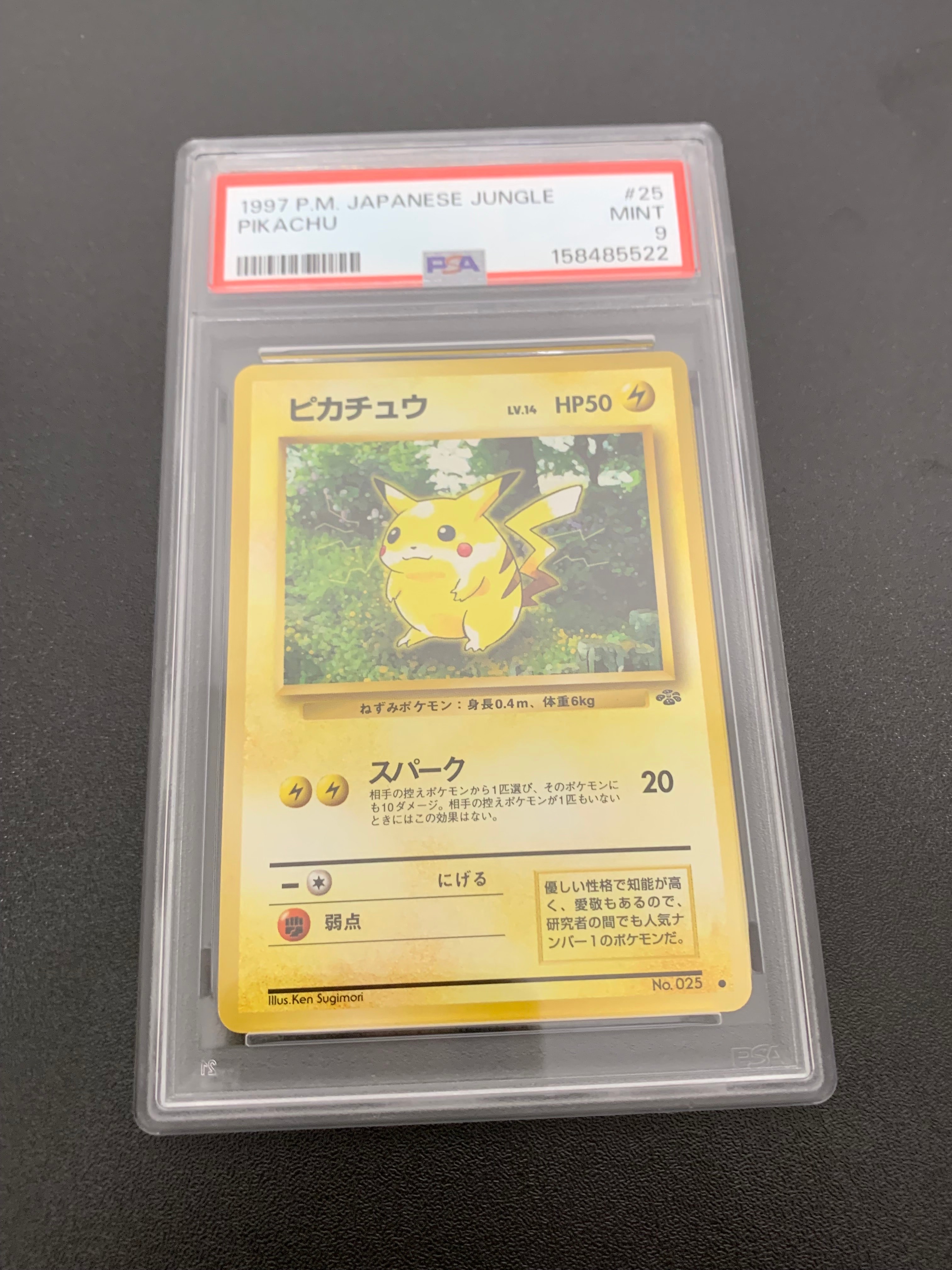 ピカチュウ ● : 旧裏 [PMCG2 No.025](拡張パック「ポケモンジャングル」)