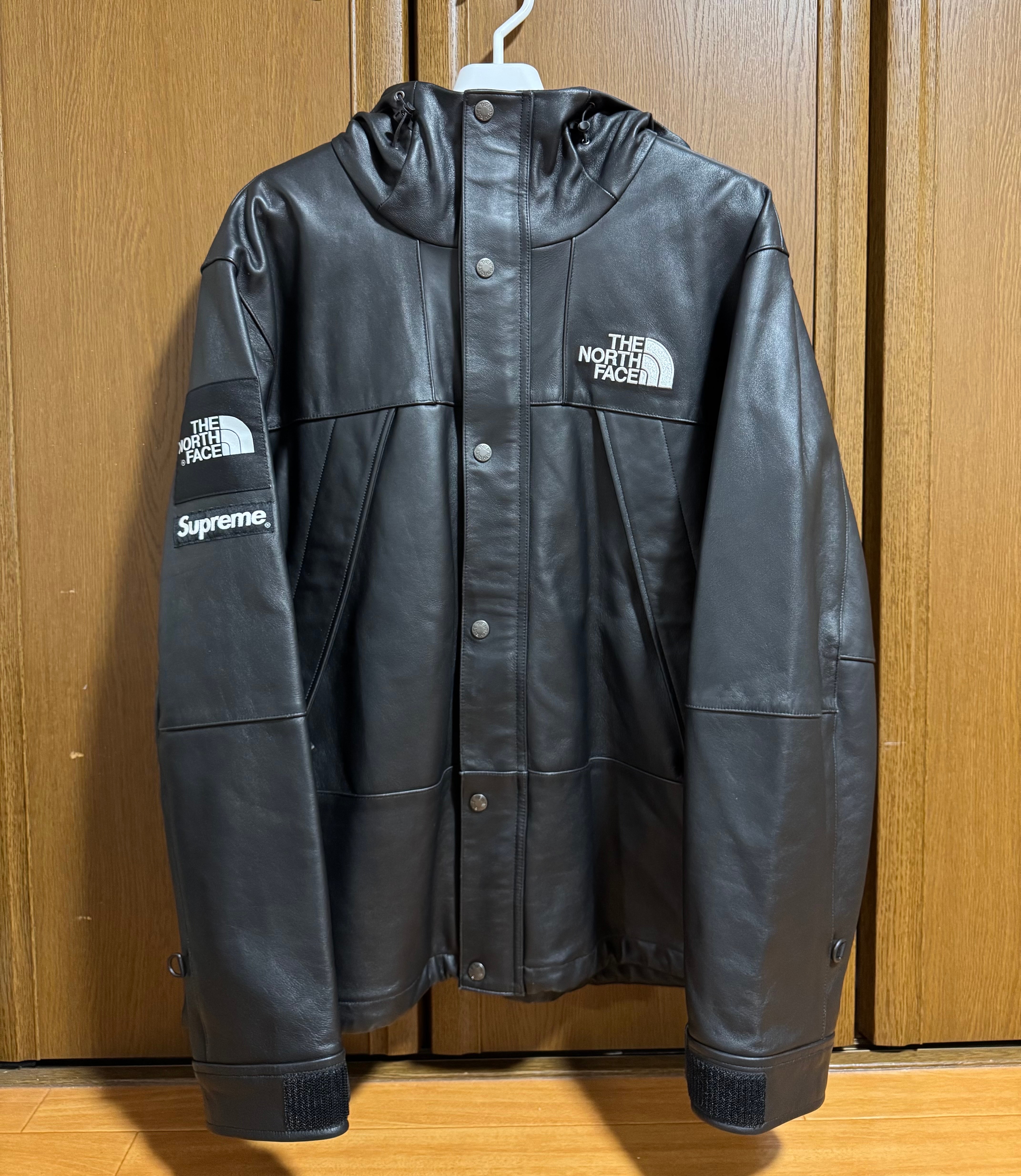 Supreme x The North Face Leather Mountain Parka 