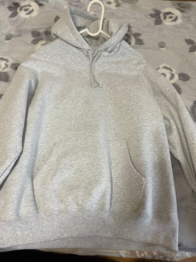 Supreme Satin Applique Hooded Sweatshirt "Ash Grey"
