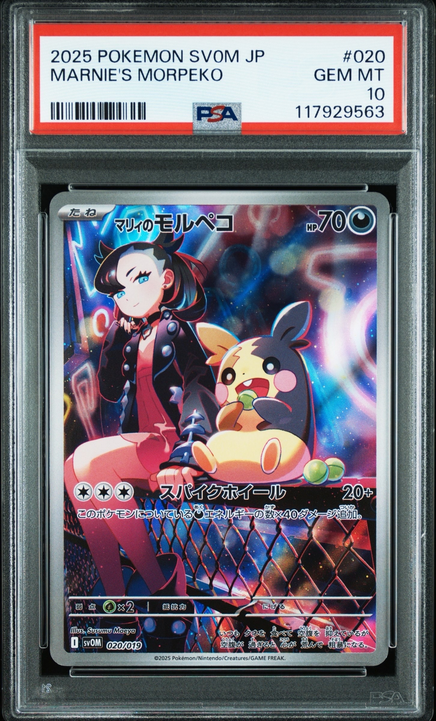 マリィのモルペコ [SVOM 020/019](スターターセットex「マリィのモルペコ&オーロンゲex」)