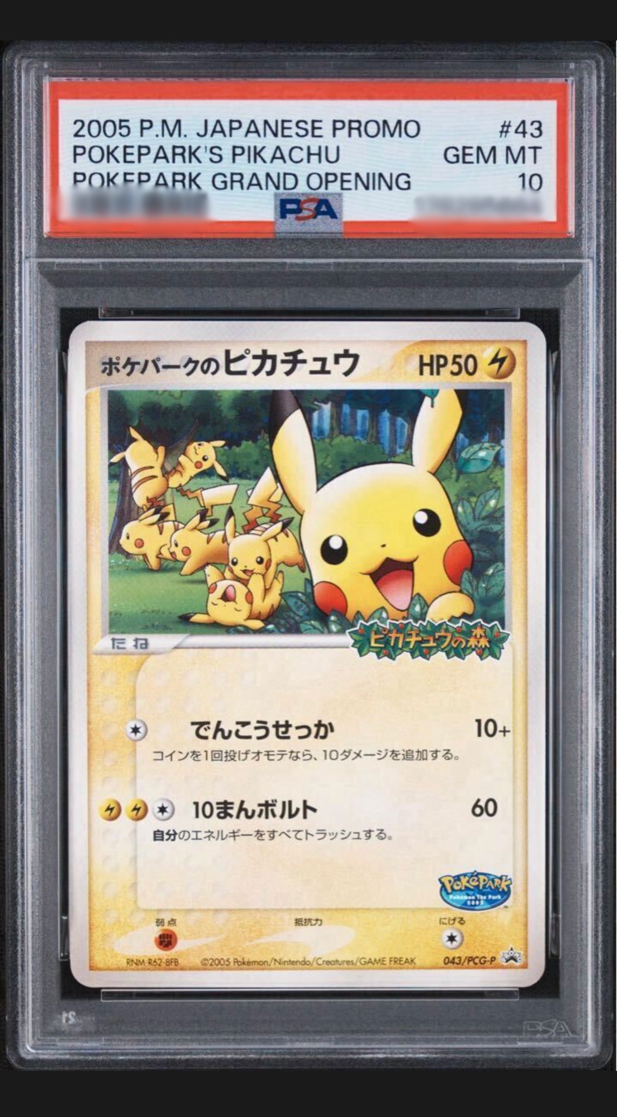 ポケモンカード ルギア 4枚セット　ポケパーク ポケパークのピカチュウ P [PCG-P 043](プロモーションカード