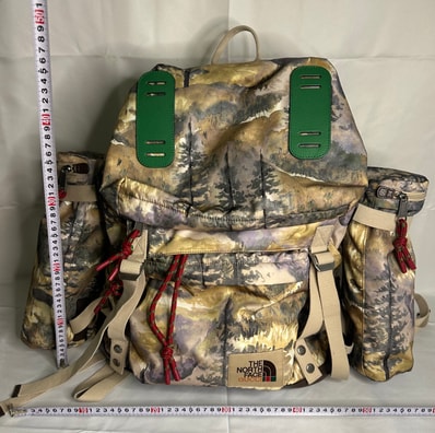 GUCCI x The North Face Landscape Print Shell Backpack "Brown"
