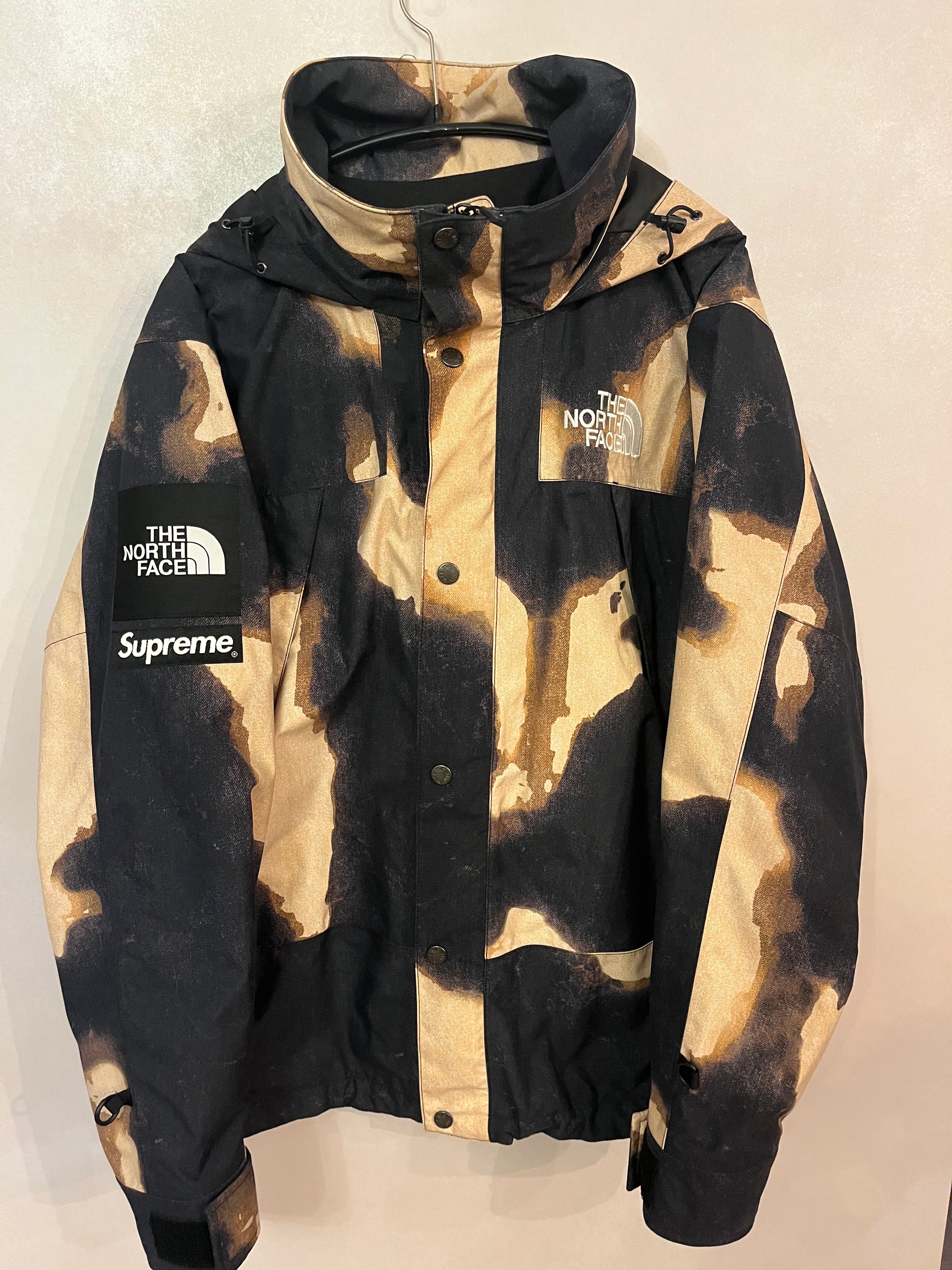 Supreme x The North Face Metallic Mountain Parka 