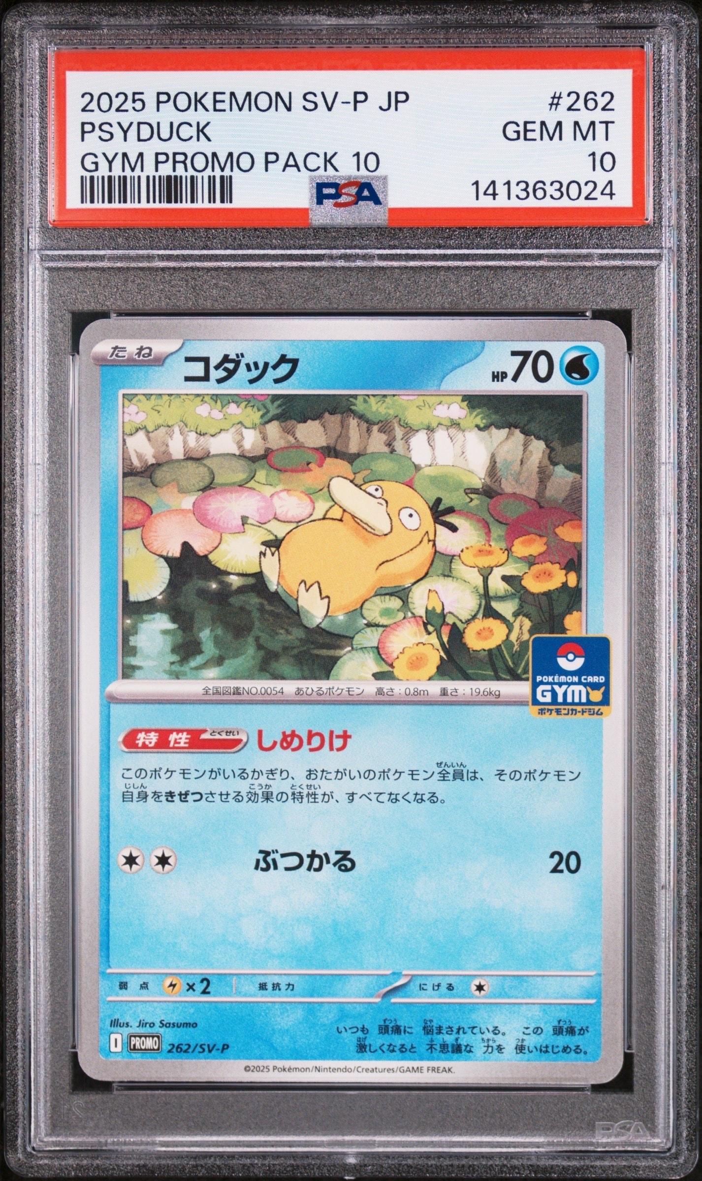 コダック P [SV-P 262](プロモカードパック「第10弾」)