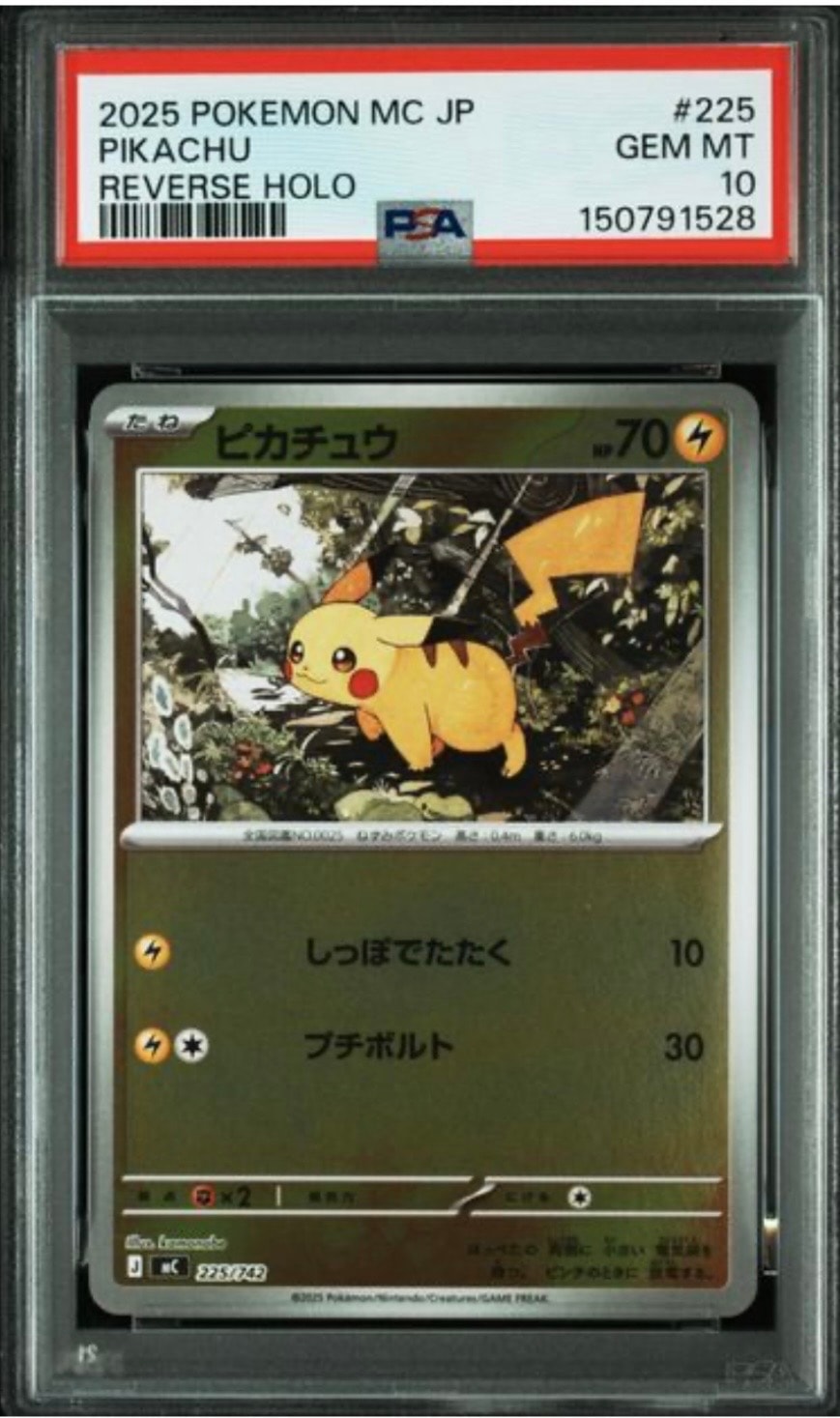 ホウオウGX HR[SM3H 059/051](拡張パック「闘う虹を見たか」)の新品
