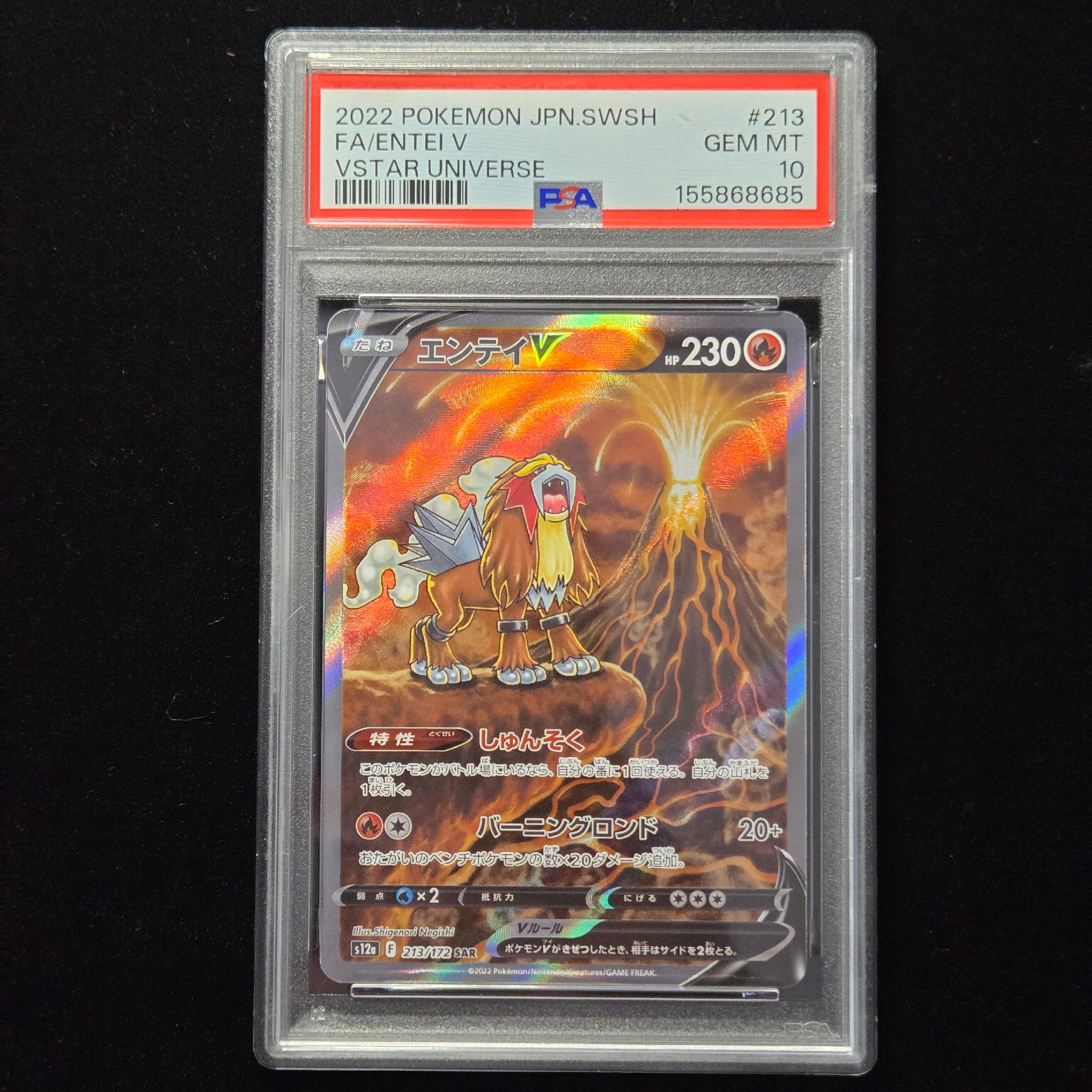 エンテイV SAR[s12a 213/172](ハイクラスパック「VSTARユニバース」)