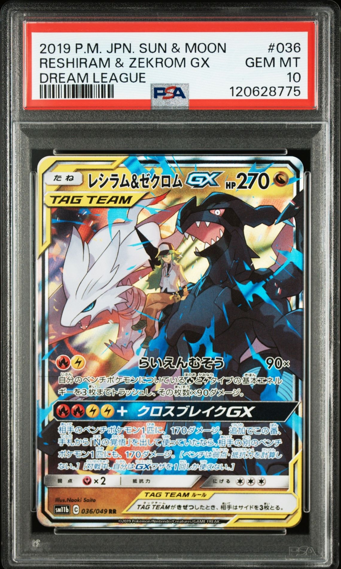 レシラム&ゼクロムGX (N) RR[SM11b 036/049](強化拡張パック「ドリームリーグ」)
