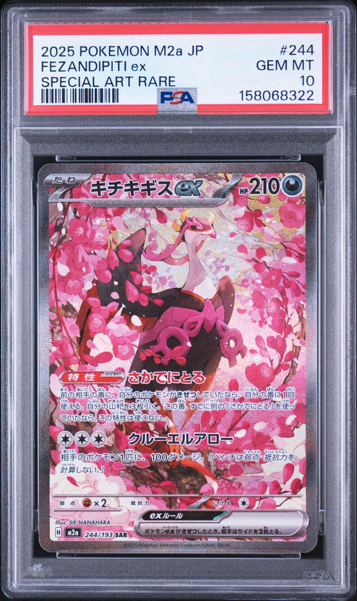 PSA10】キチキギスex SAR [M2a 244/193](ハイクラスパック「MEGA
