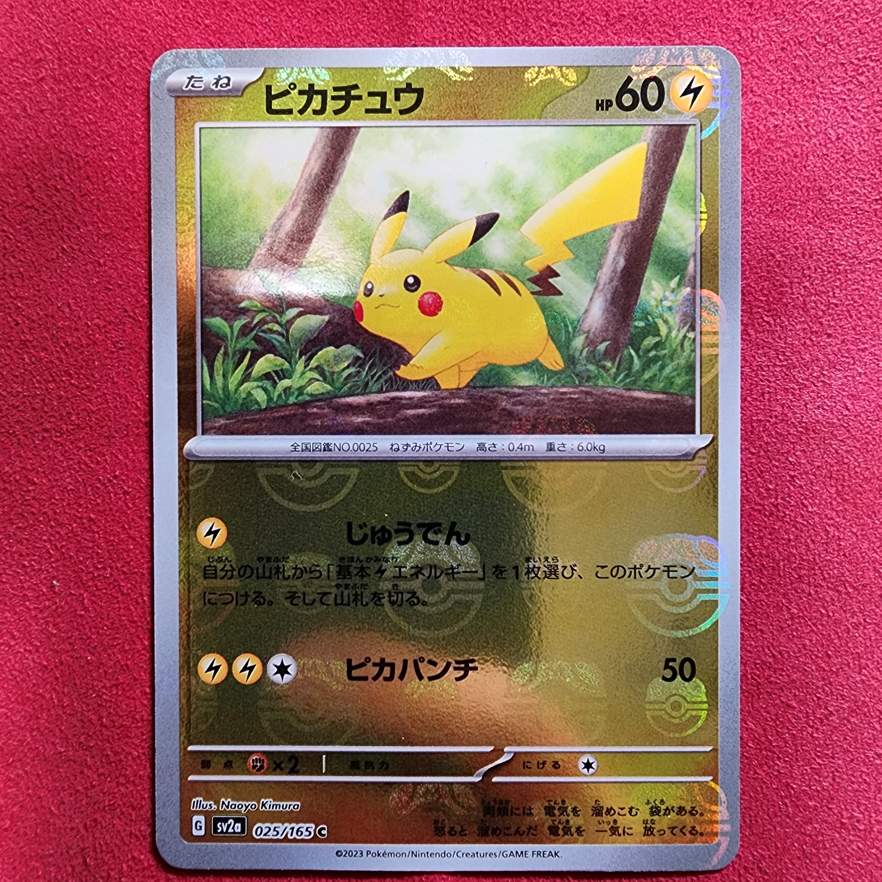 ピカチュウ マスターキット ポケモンカードゲーム シングルカード ピカチュウ マスターのおすすめ