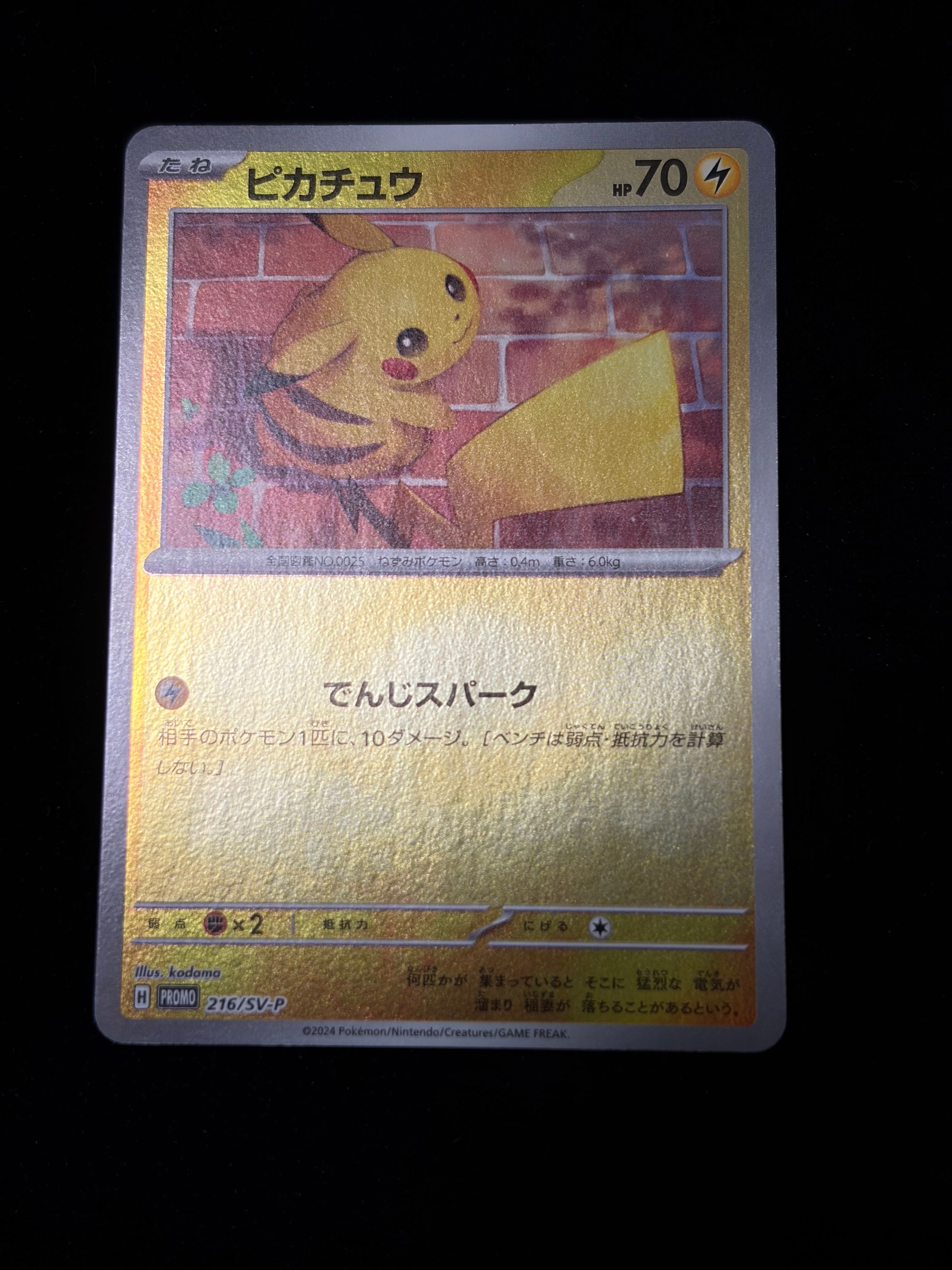 ピカチュウ P [SV-P 216](プロモカードパック「ポケカの夏がキタ!プロモカードGetキャンペーン!」)