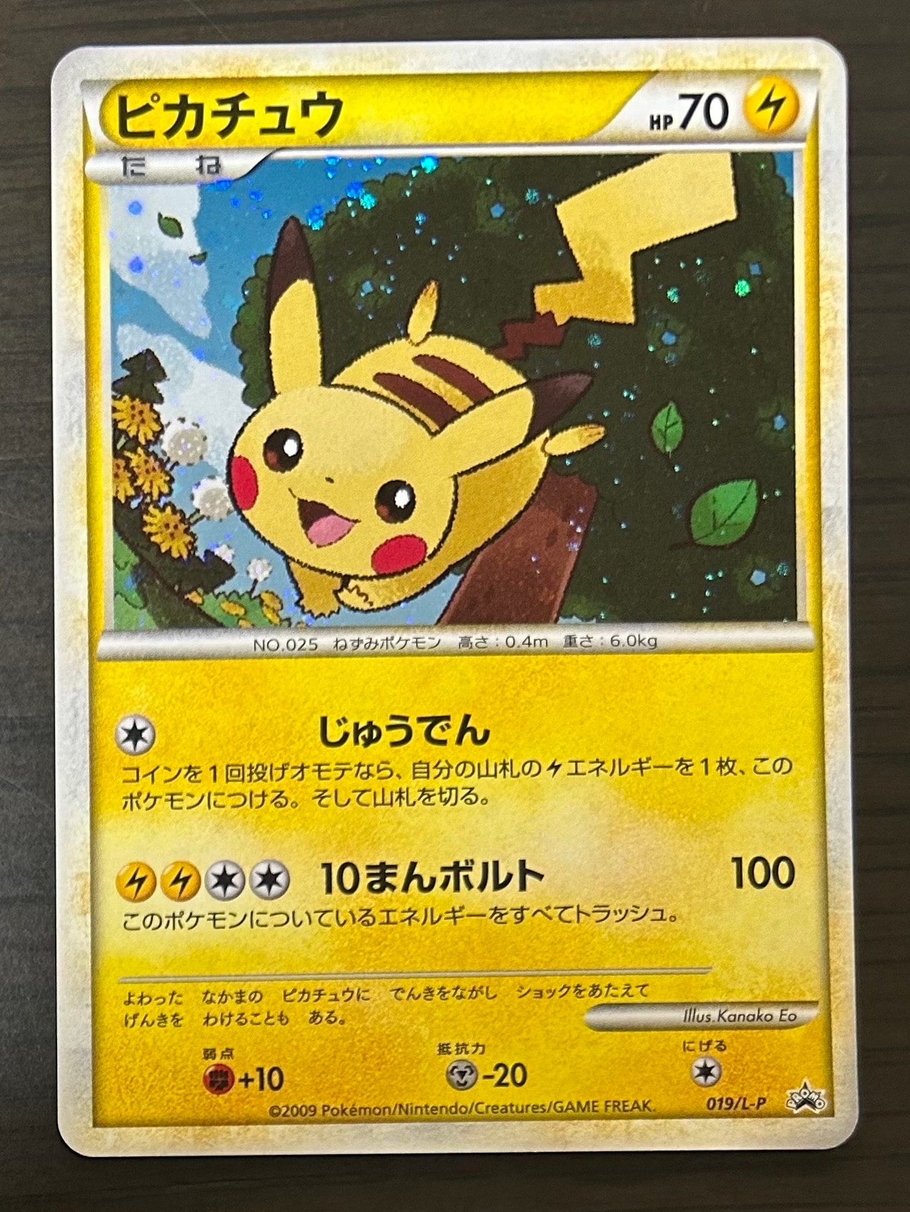 ピカチュウ: プロモ[L-P 019/L-P](プロモーションカード「L-P」)