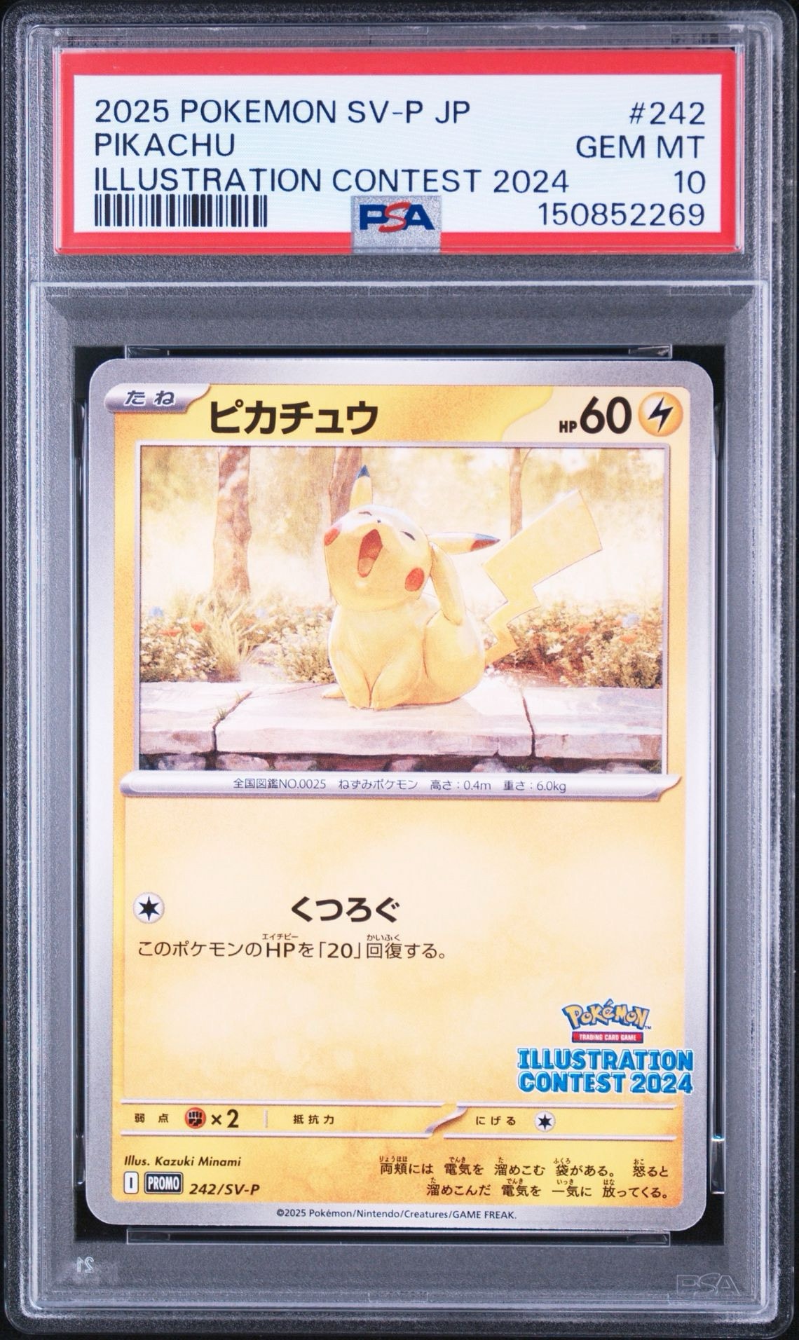 ピカチュウ [SV-P 242](プロモカードパック「イラストレーション