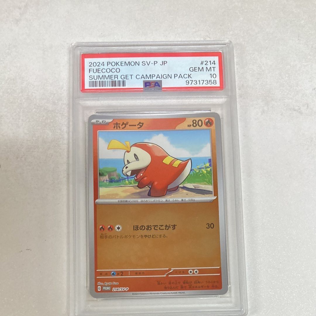 ホゲータ P [SV-P 214](プロモカードパック「ポケカの夏がキタ！プロモ