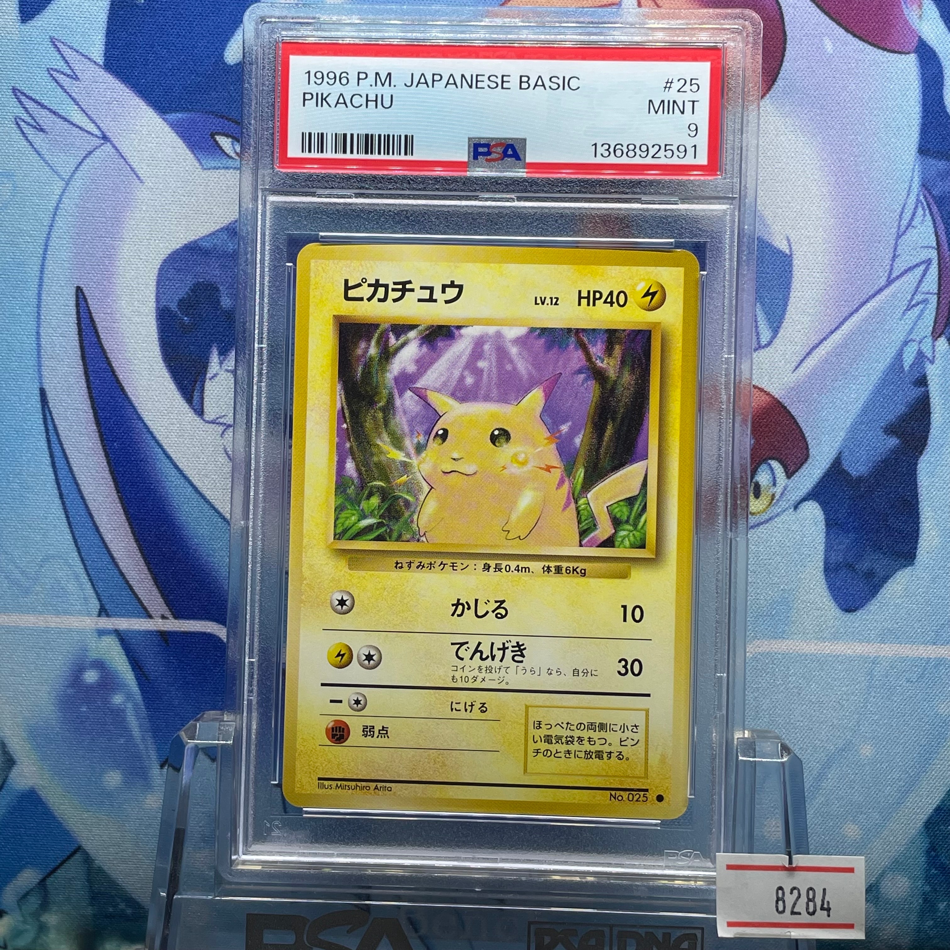 ピカチュウ ● : 旧裏 [PMCG1-2](拡張パック「ポケットモンスター カードゲーム」再販)