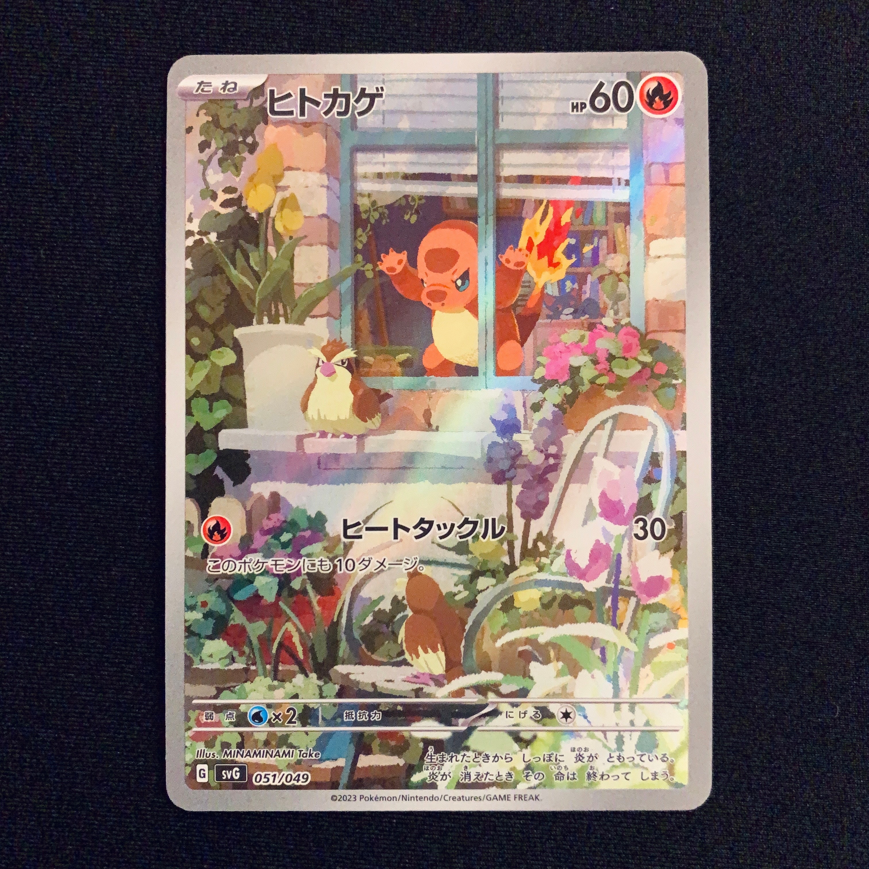 ヒトカゲ :フルイラスト [SVG 051/049](スペシャルデッキセットex「フシギバナ・リザードン・カメックス」)