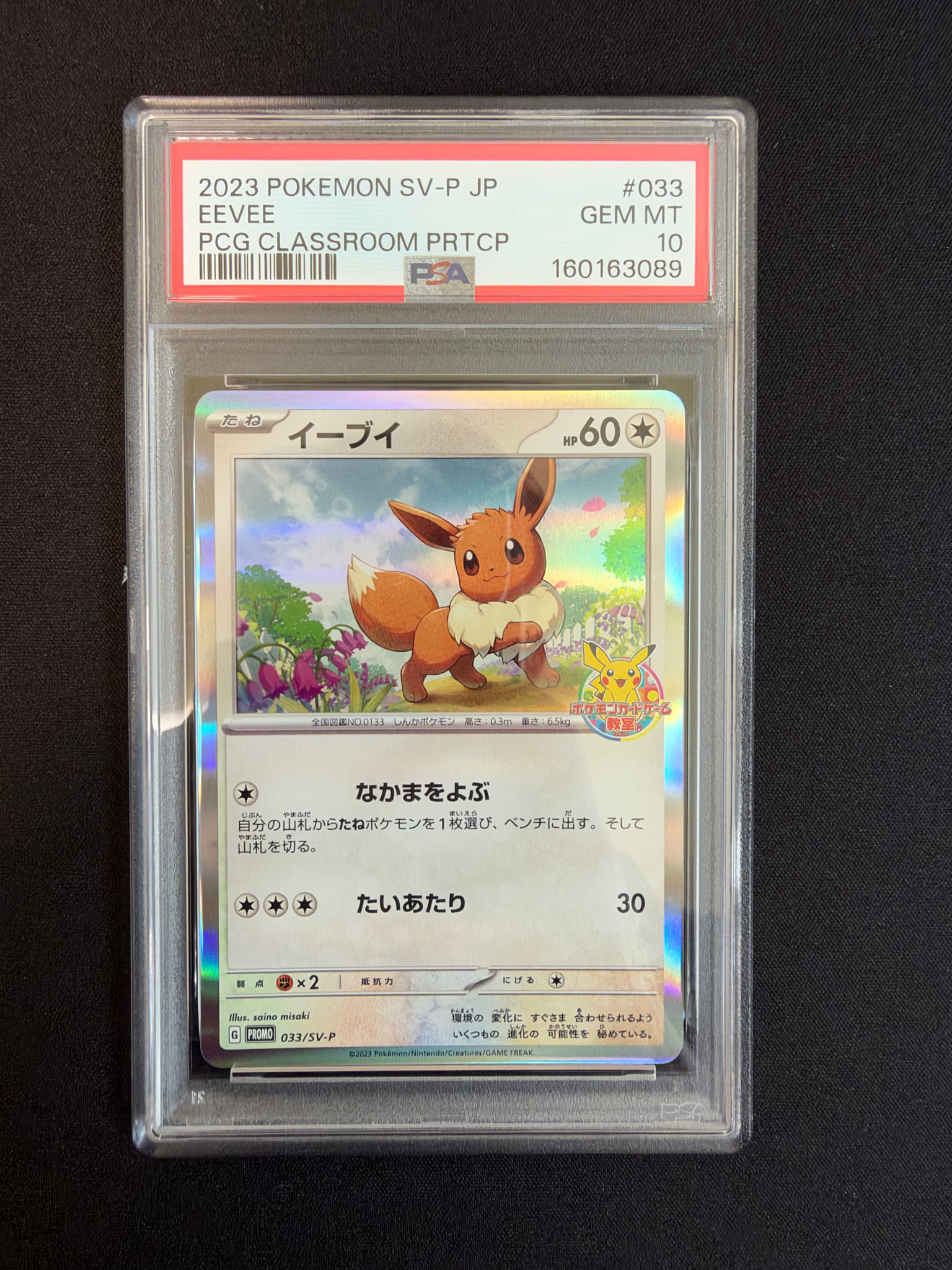 イーブイ: プロモ [SV-P 033](「 ポケモンカードゲーム教室」プロモーションカード「SV-P」)